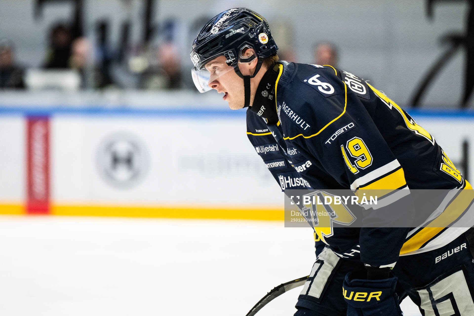 HV71s Henrik Borgström jublar