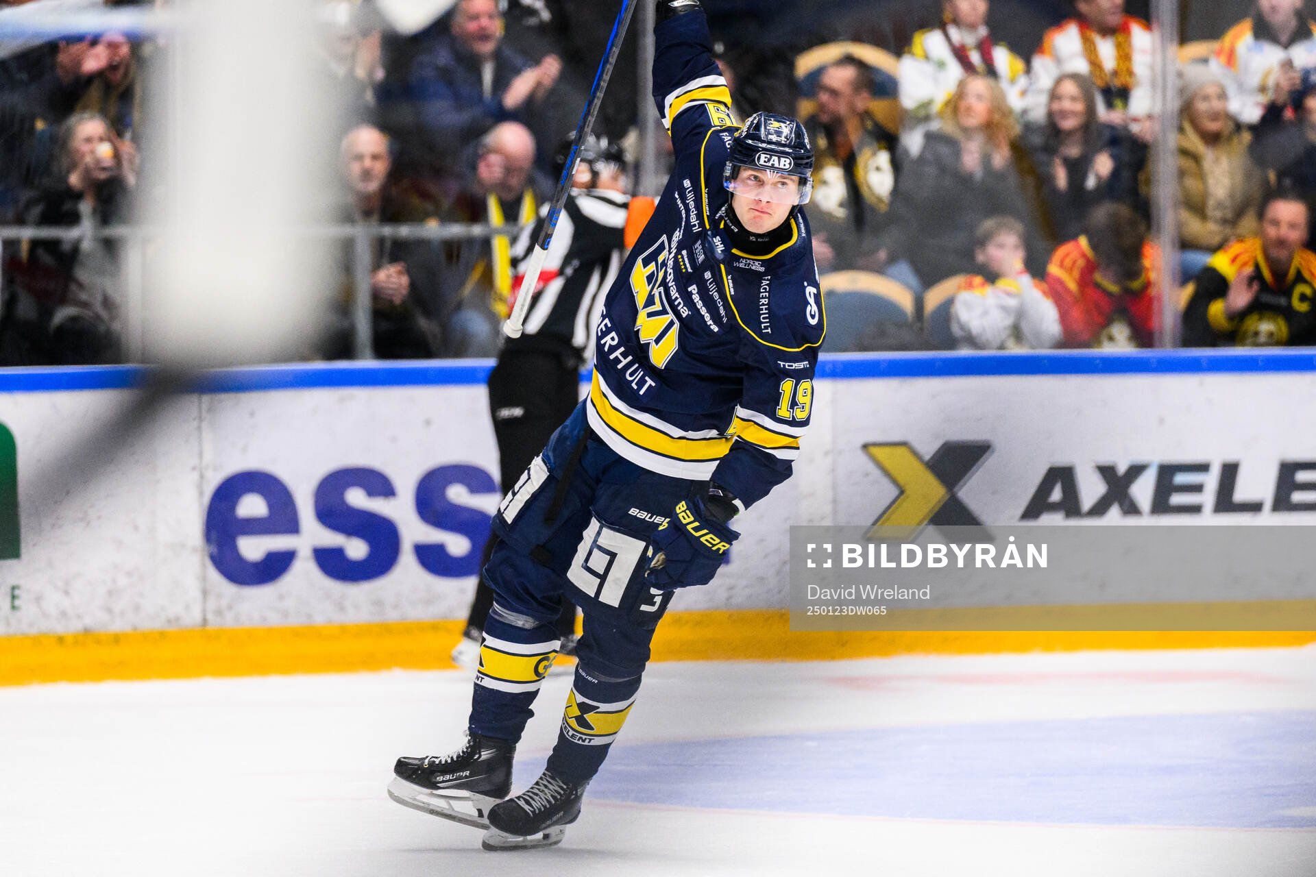 HV71s Henrik Borgström jublar