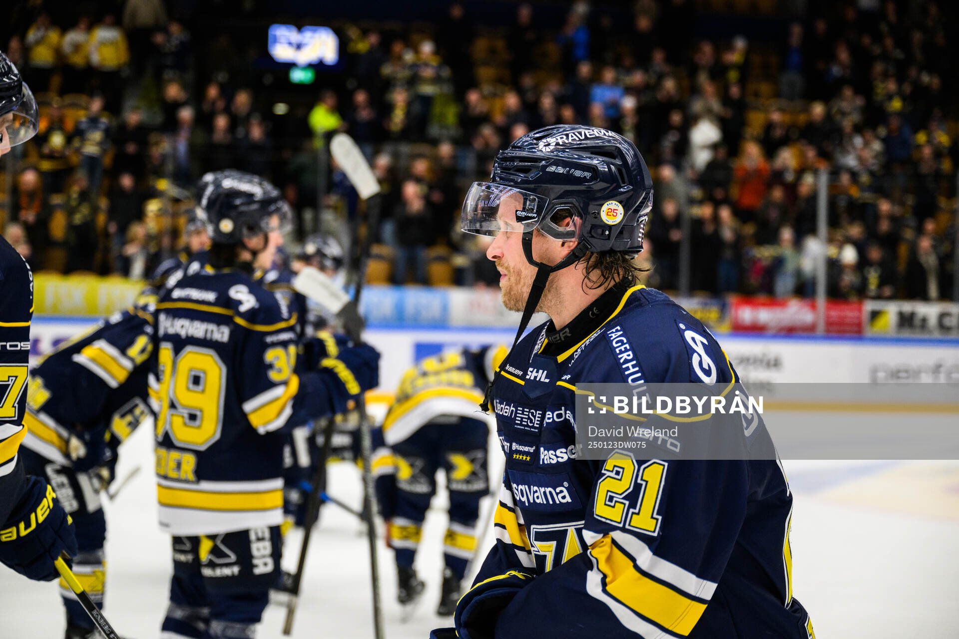 HV71s Mattias Tedenby  jublar