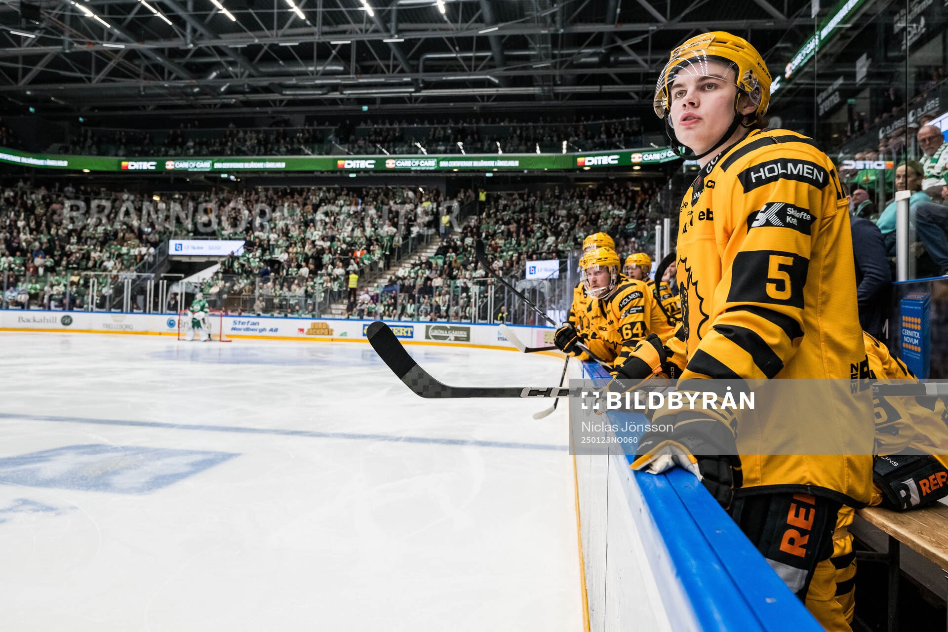Skellefteås Axel Sandin Pellikka