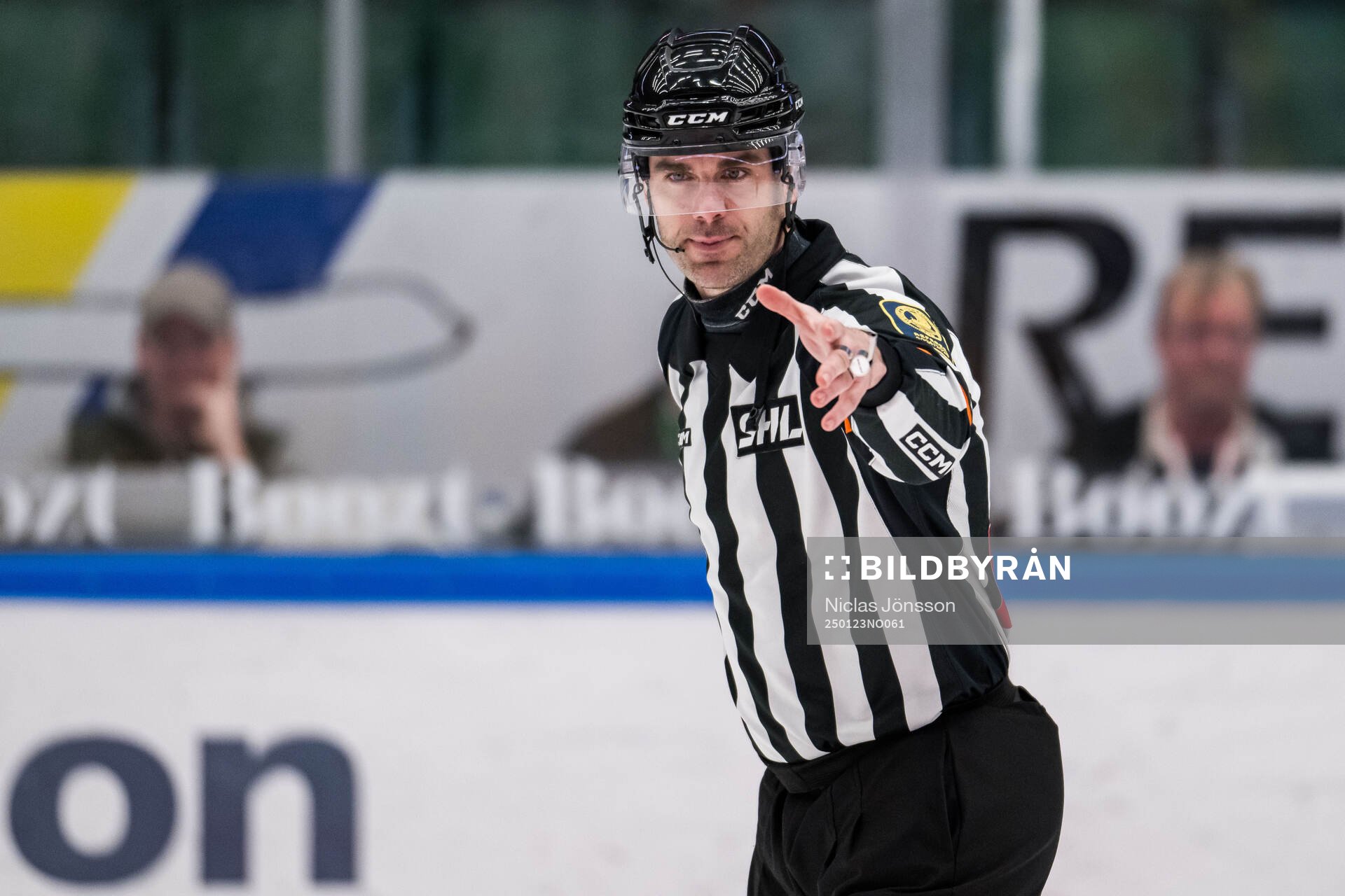 Domare Richard Magnusson