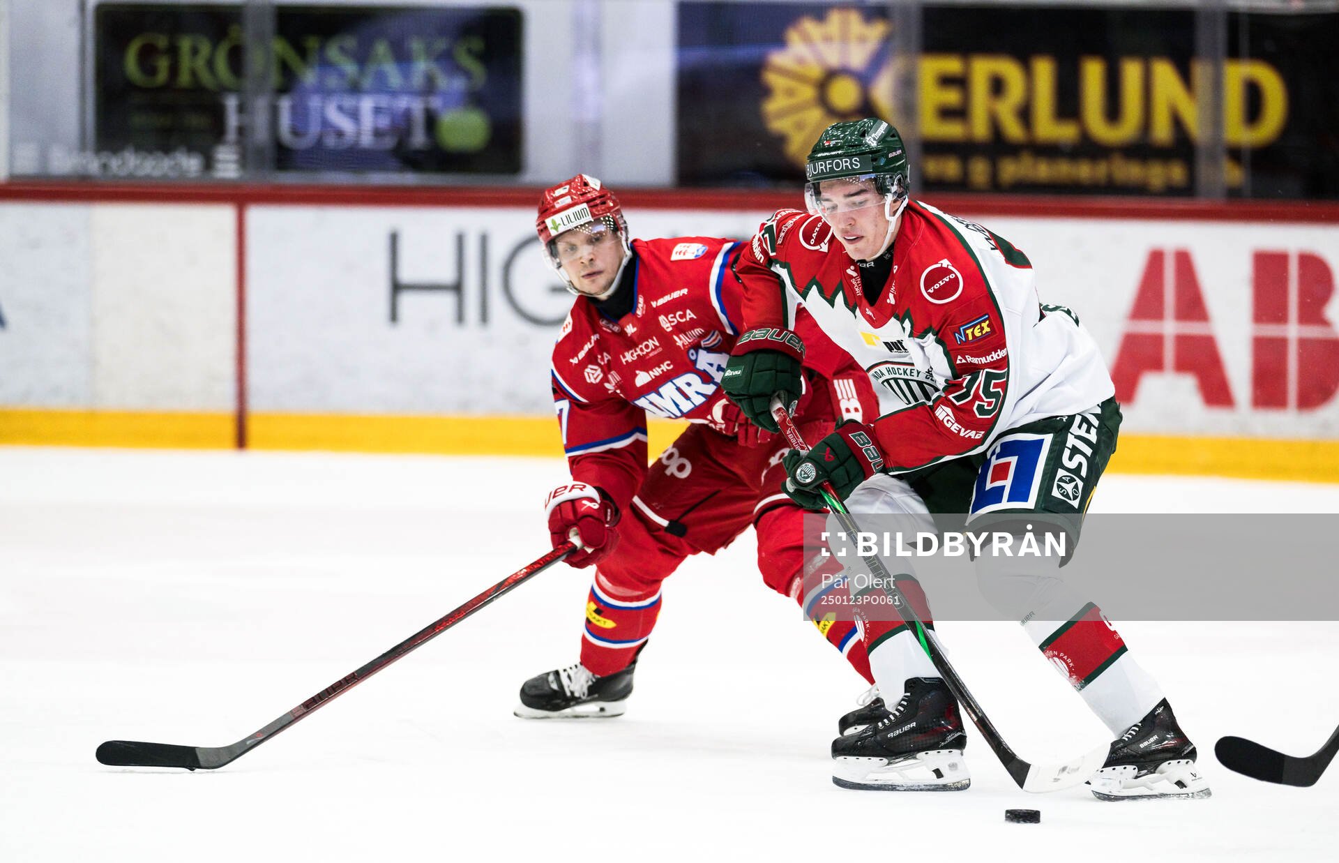 Timrås Oliver Kapanen