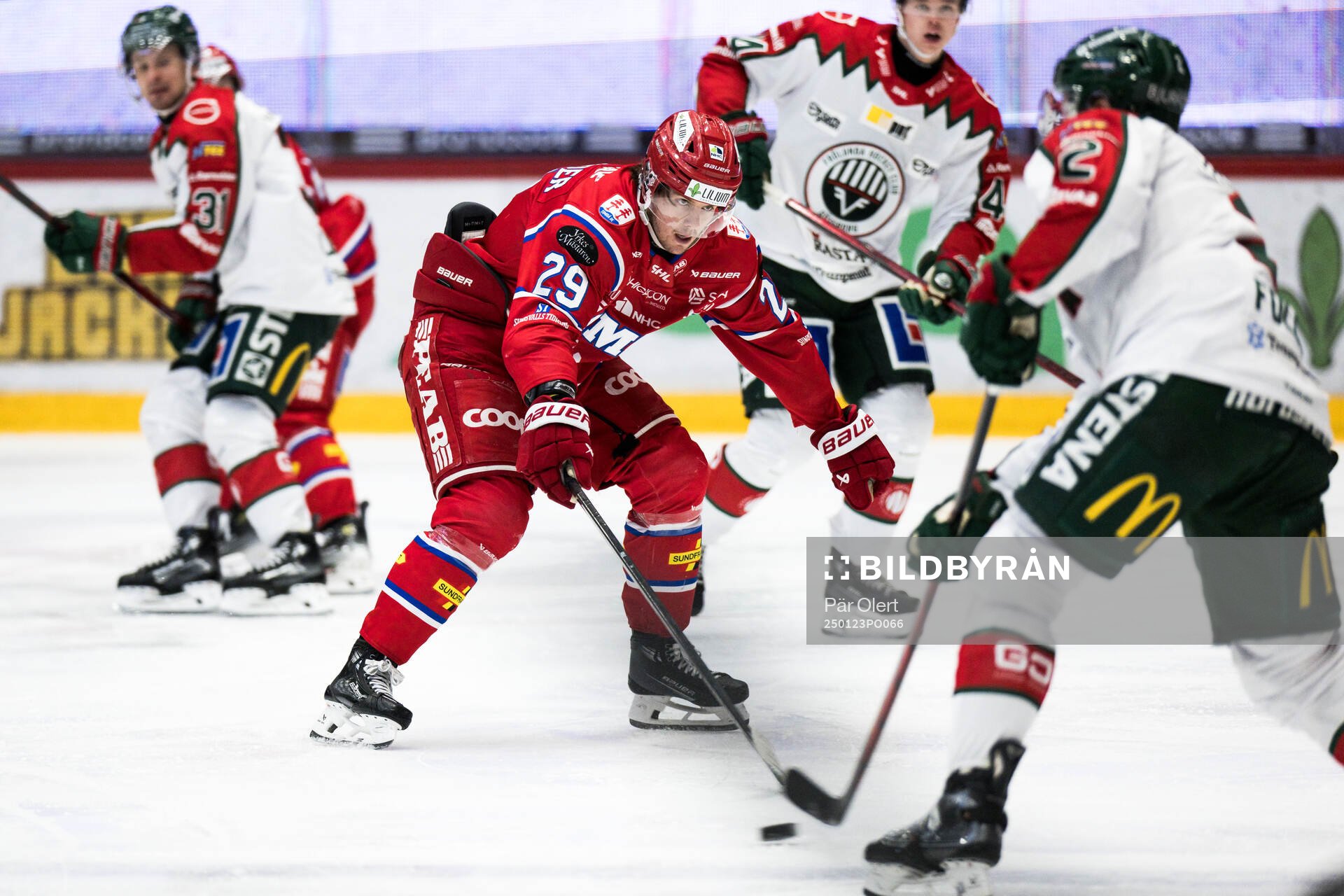 Timrås Filip Hållander