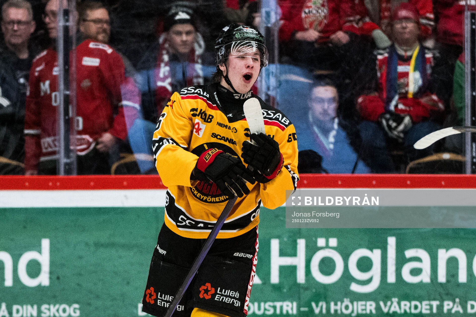 Luleås Isac Hedqvist jublar