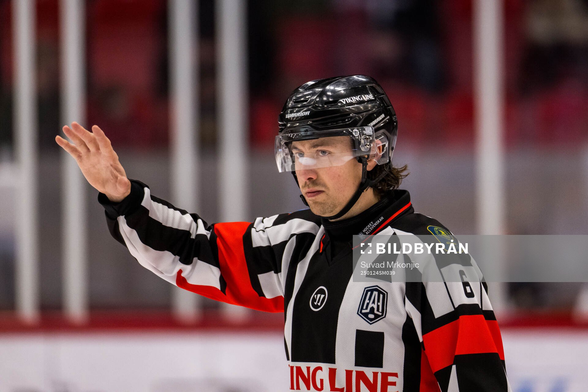 Domare Robin Jacobsson
