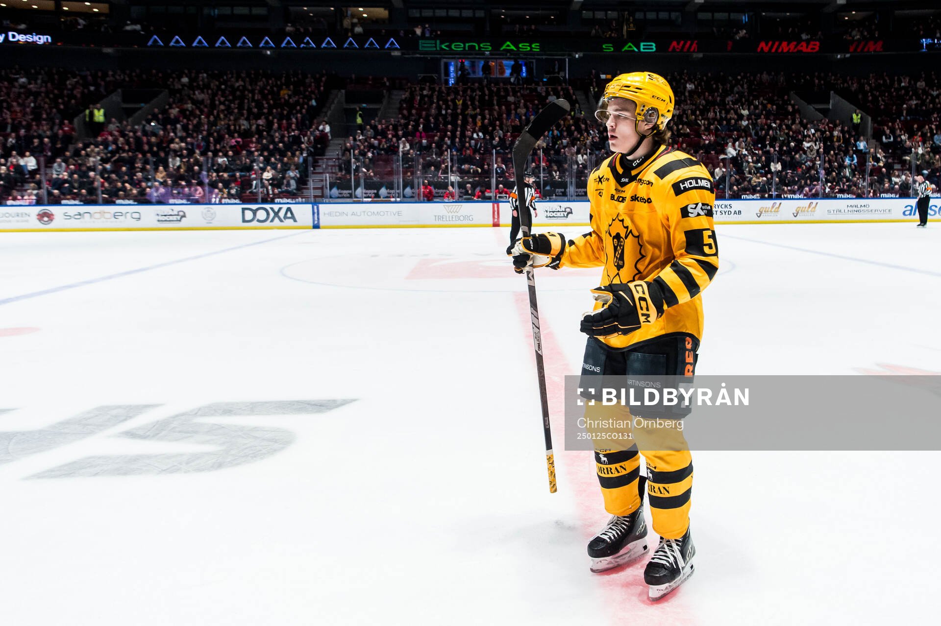 Skellefteås Axel Sandin Pellikka jublar