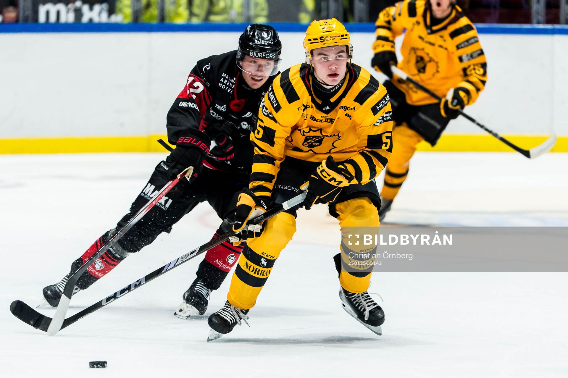 Skellefteås Axel Sandin Pellikka och Malmö Redhawks Linus
