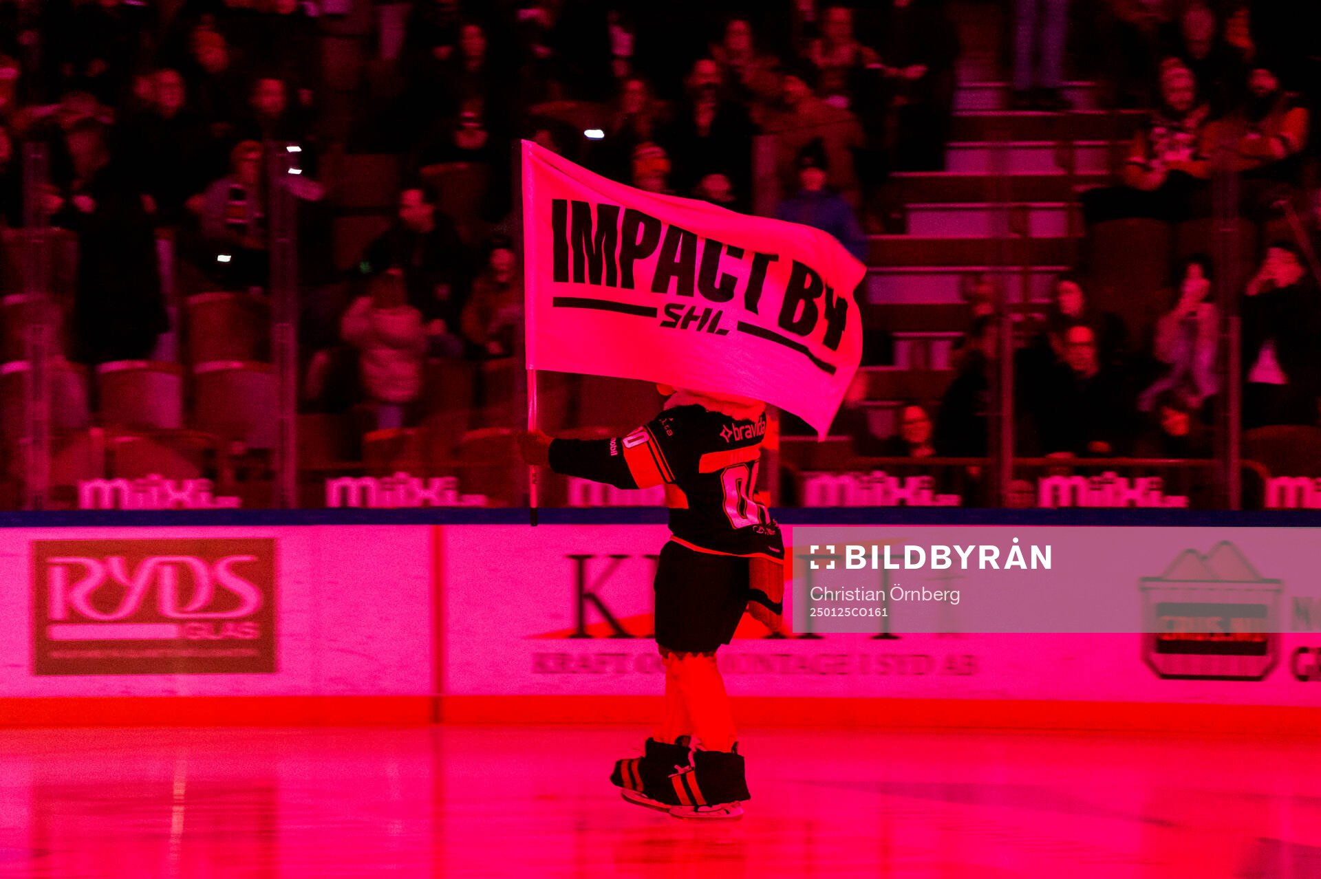 Malmö Redhawks maskot Hawkan med en Impact by SHL-flagga