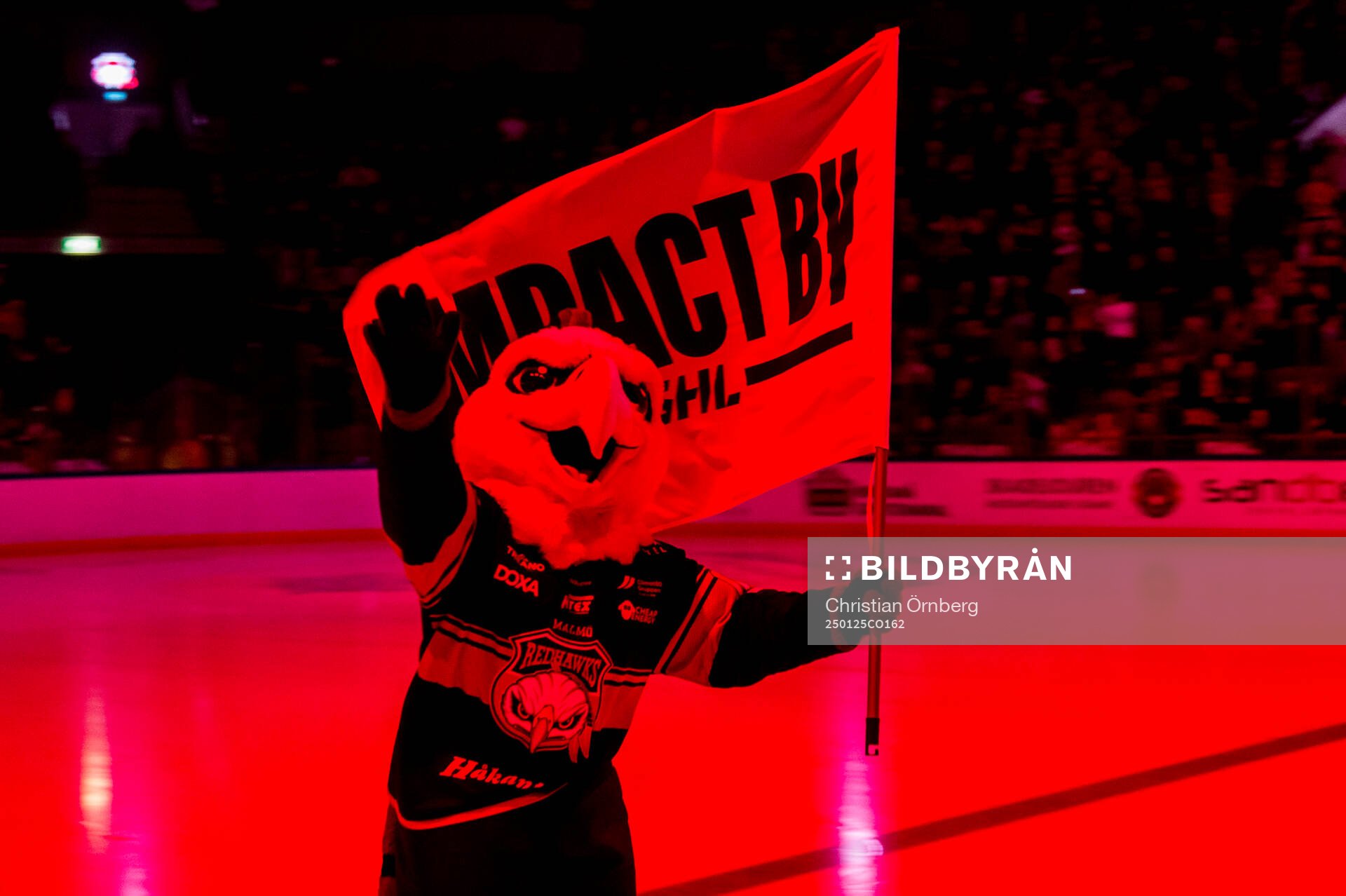 Malmö Redhawks maskot Hawkan med en Impact by SHL-flagga