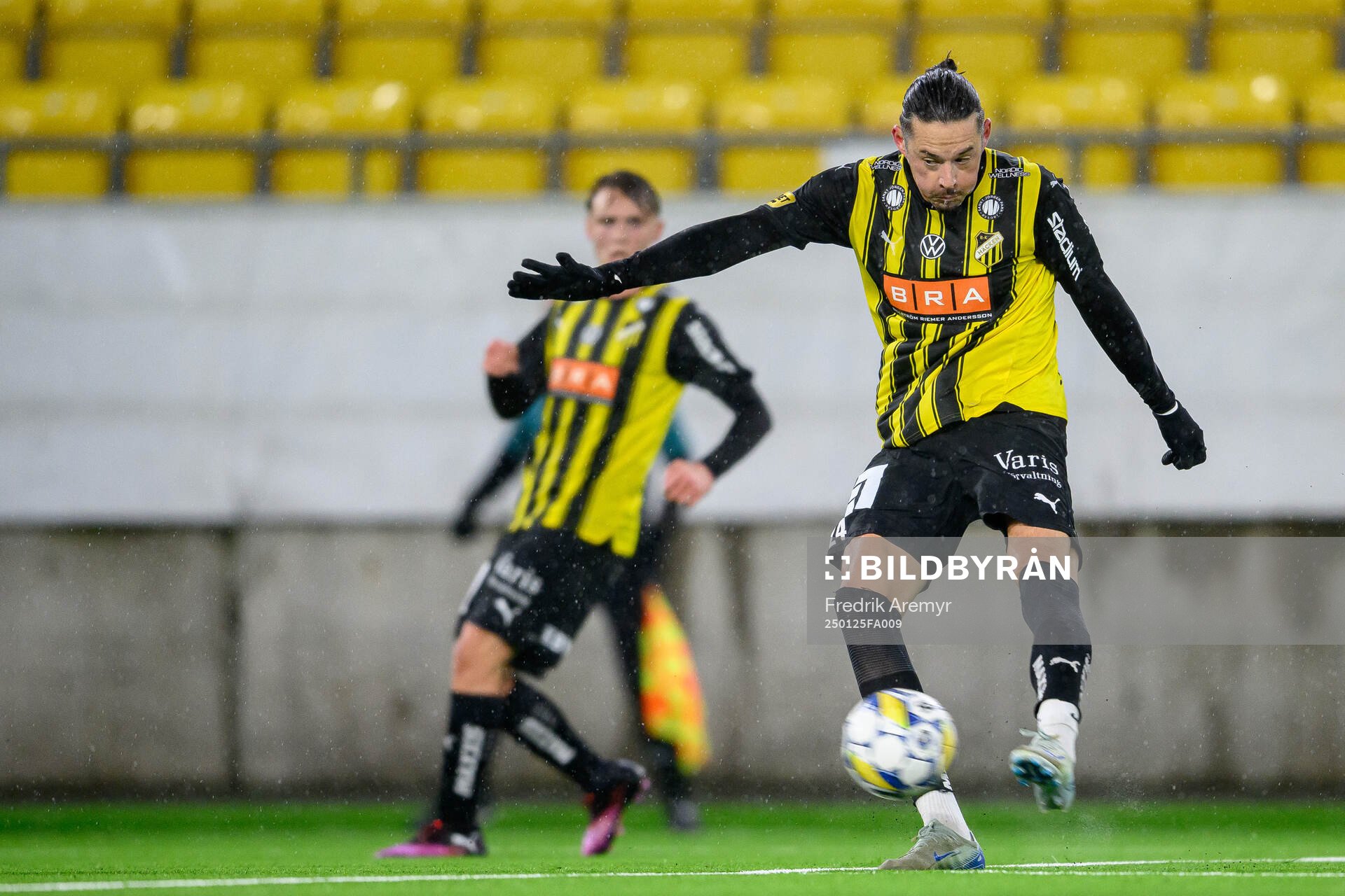 Häckens Amor Layouni