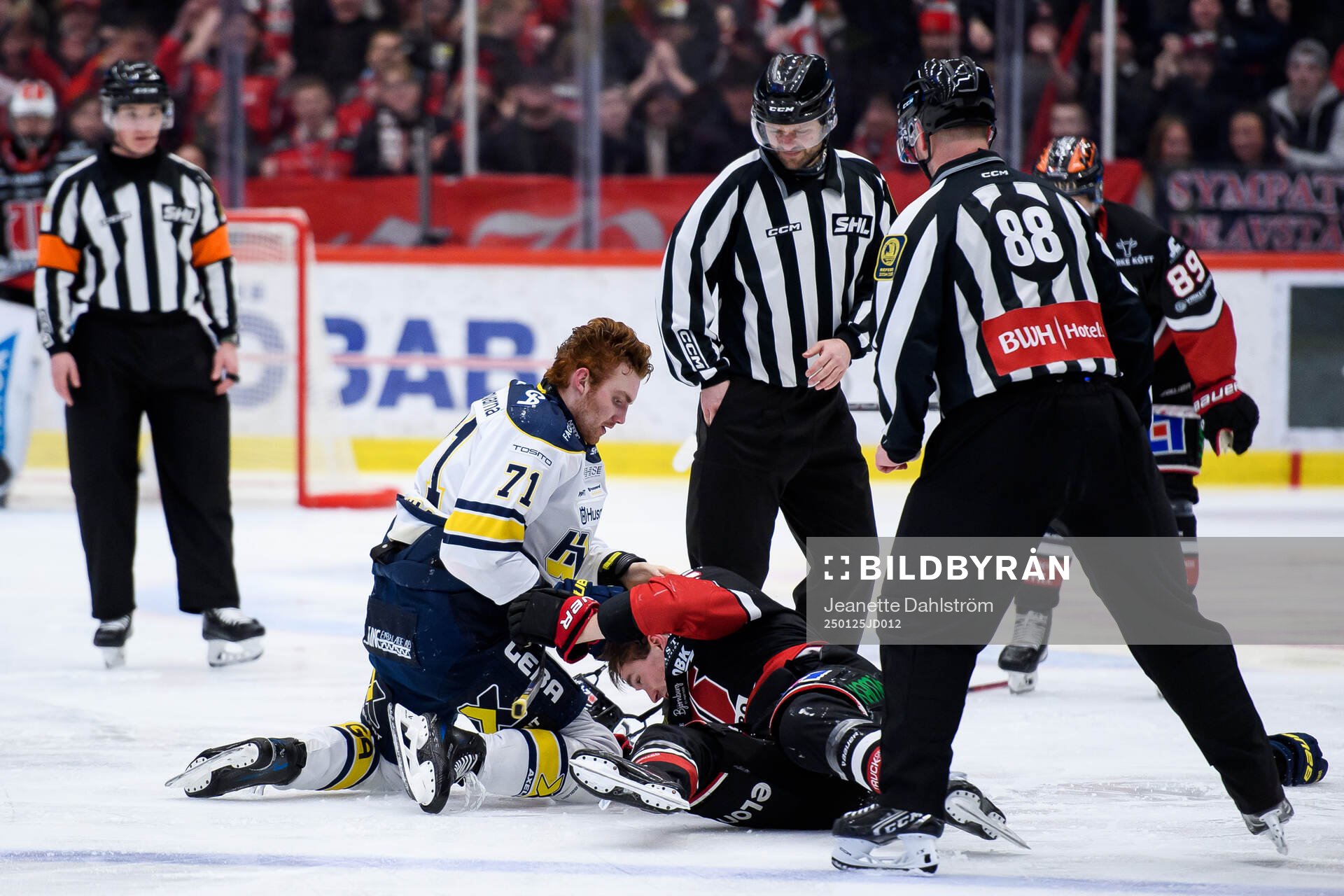 HV71s William Ignberg Nilsson och Örebros Filip Berglund
