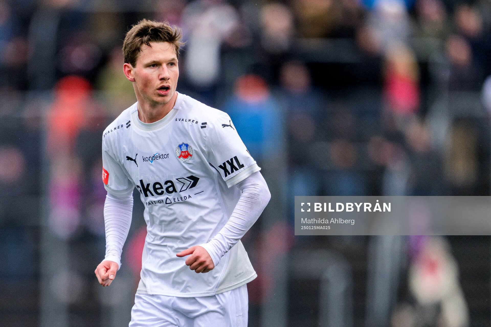 Helsingborgs Max Svensson