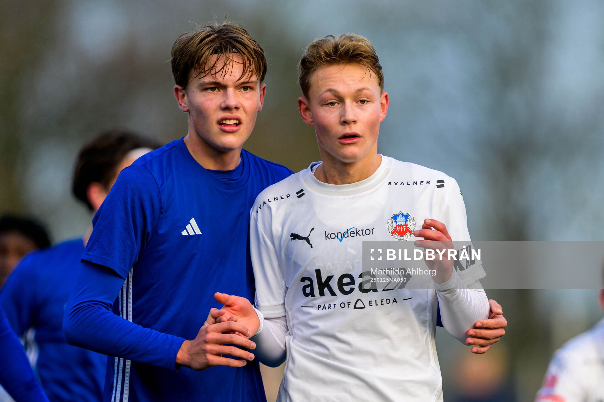 Helsingborgs Alvin Nordin