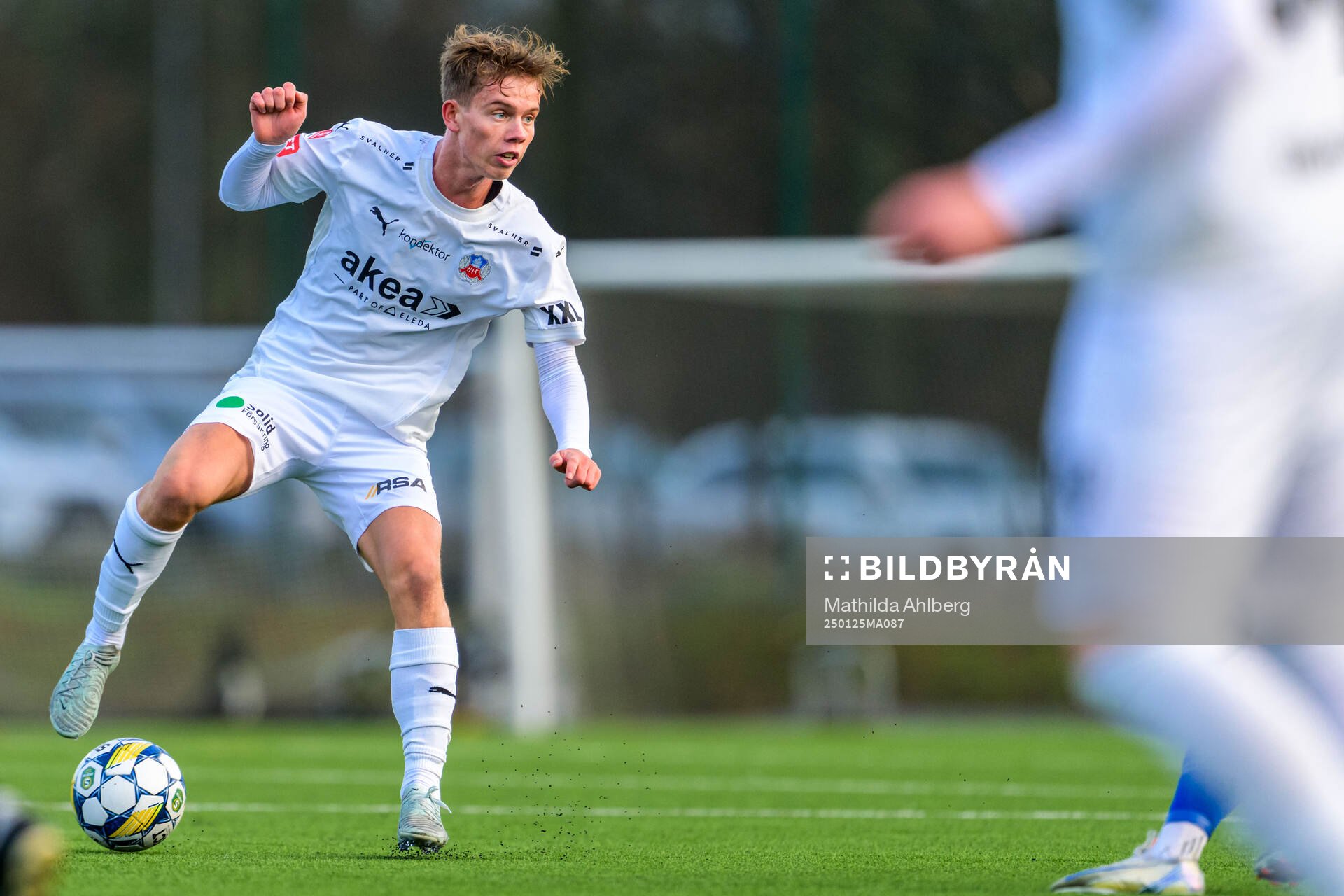 Helsingborgs Alexander Falk