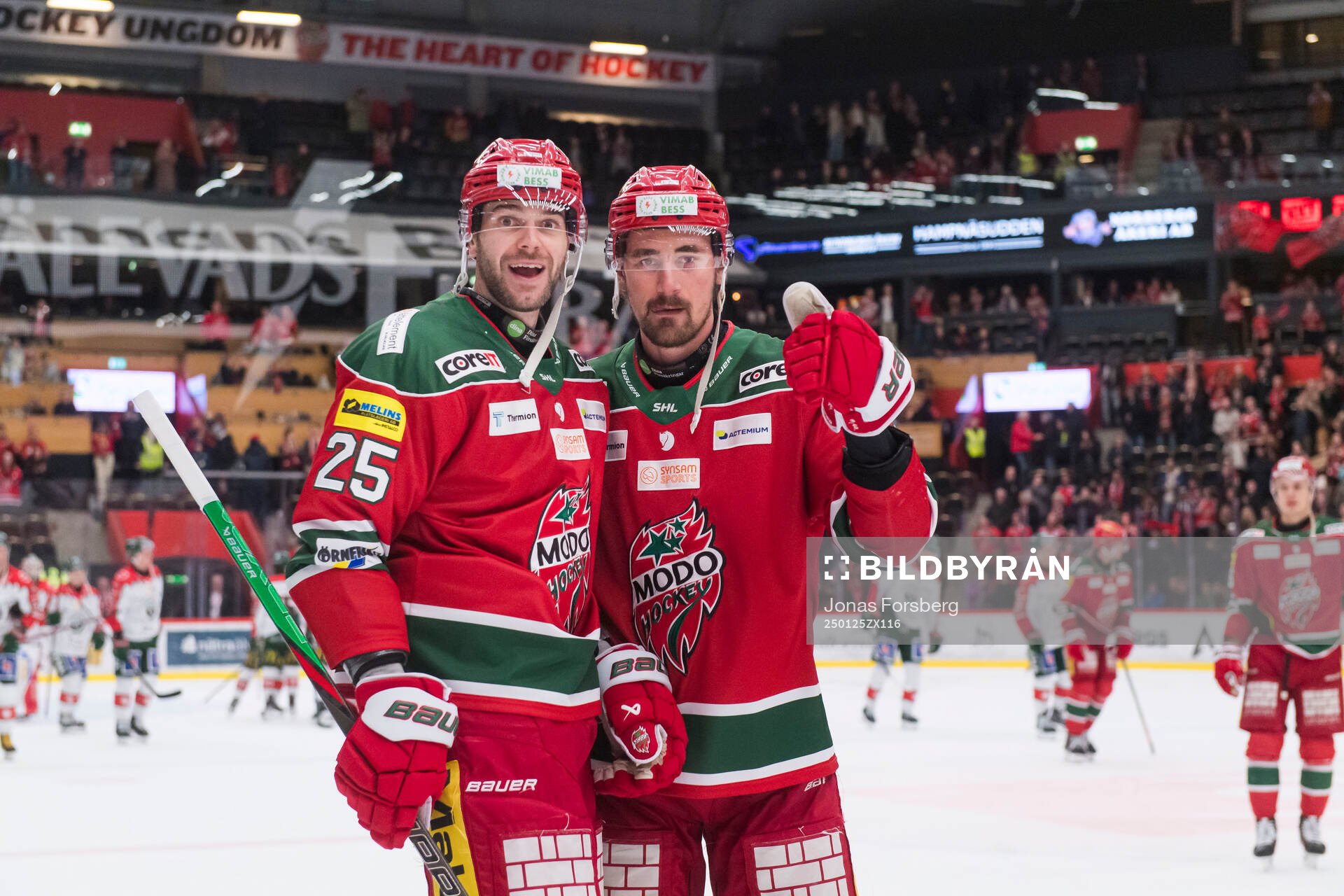 Modos Sam Vigneault och David Bernhardt