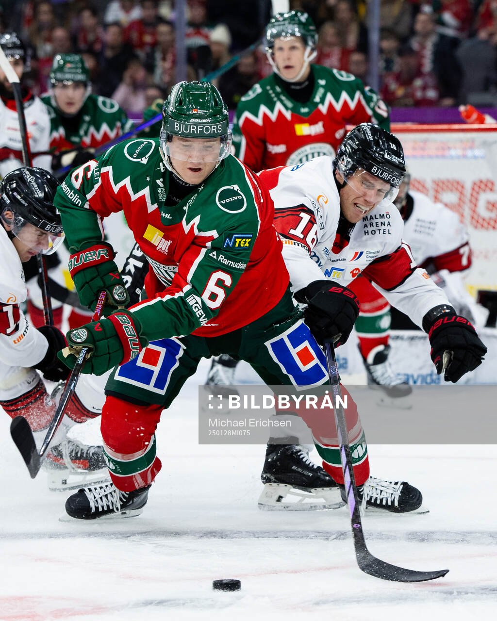 Frölundas Filip Hasa och Malmö Redhawks Matias Lassen