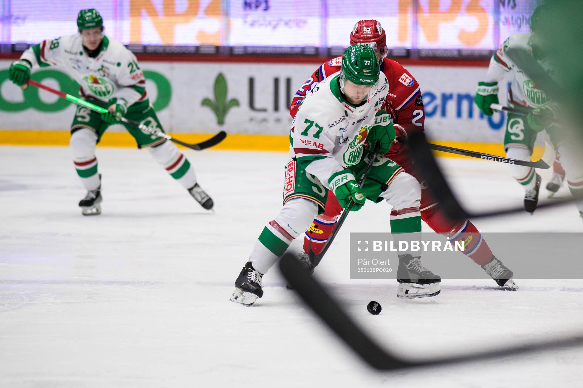 Rögles Jesper Pettersson och Timrås Filip Hållander
