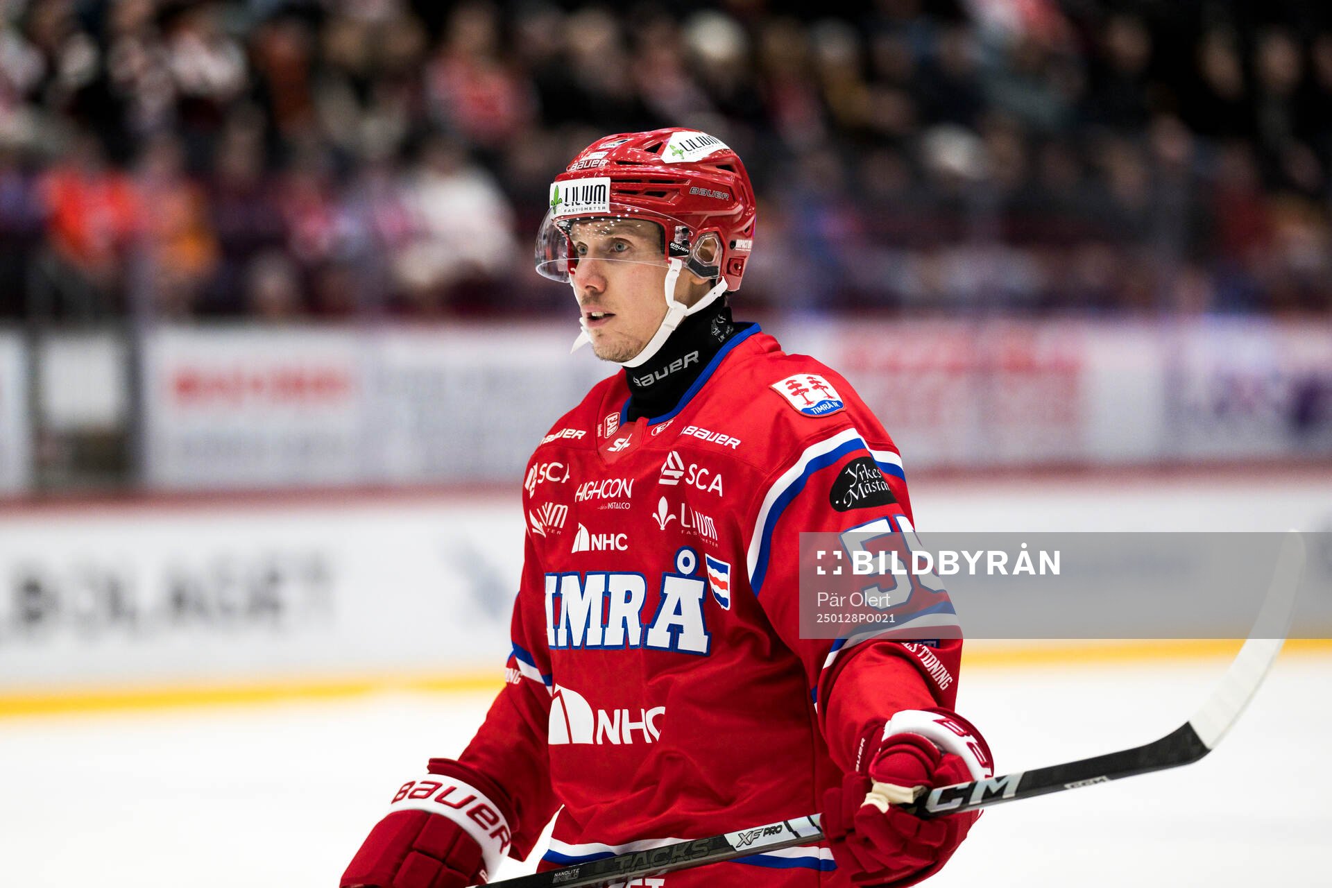 Timrås Miika Koivisto
