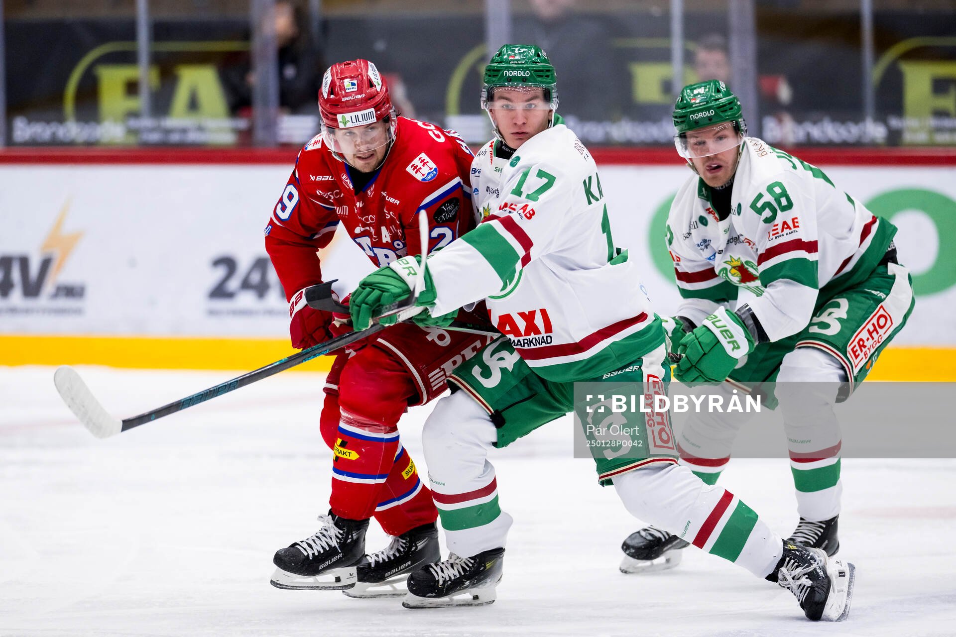 Timrås Filip Hållander och Rögles Max Karlsson
