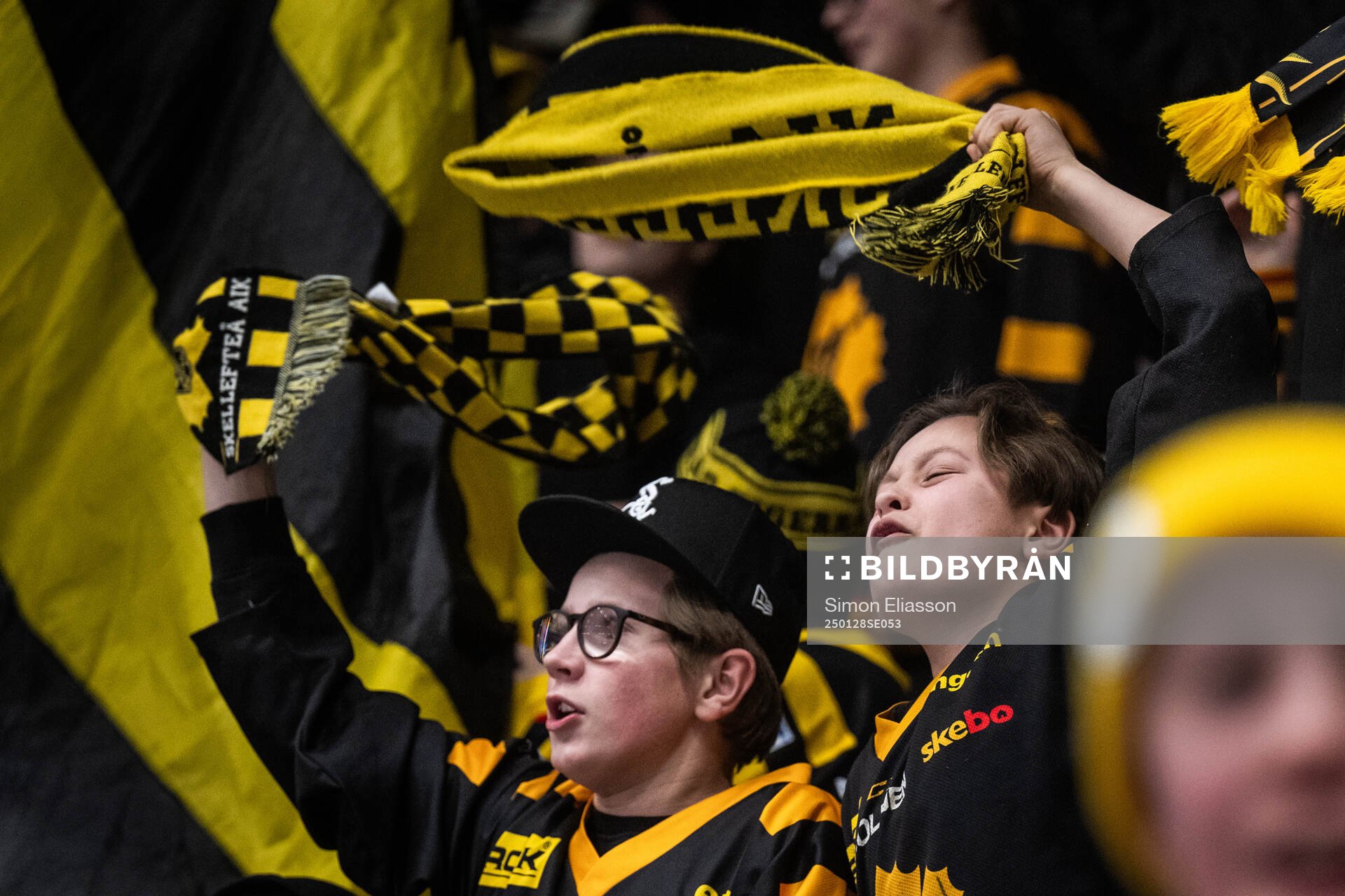 Skellefteås supportrar jublar