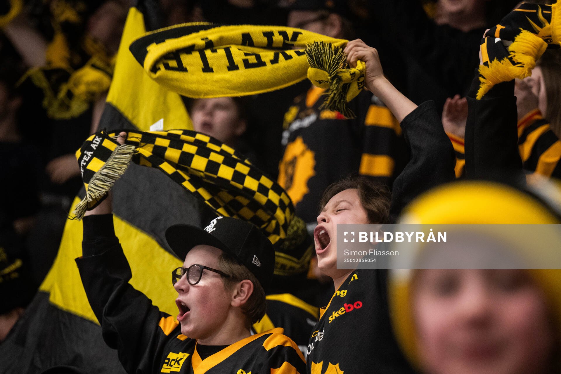 Skellefteås supportrar jublar