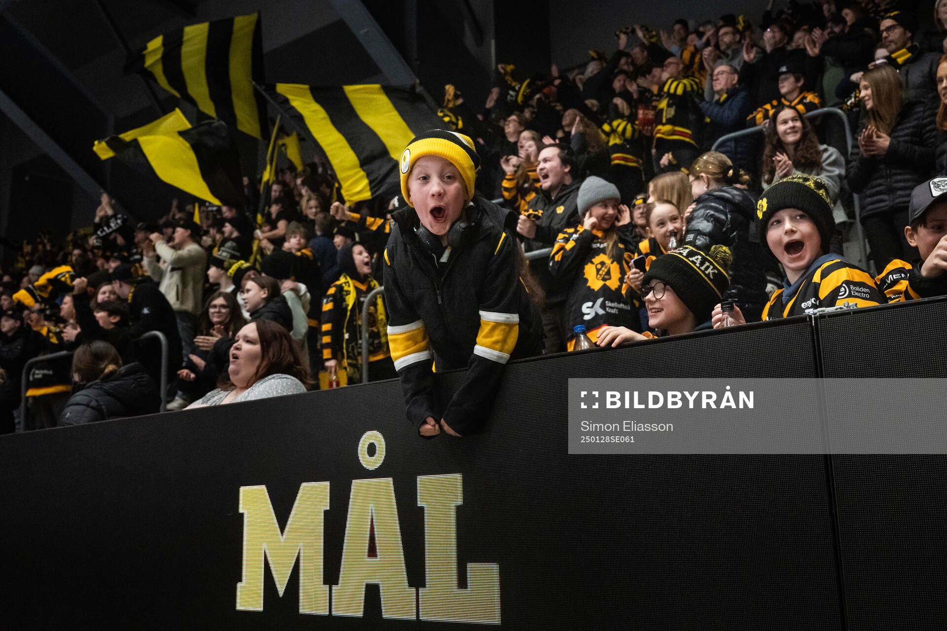 Skellefteås supportrar jublar