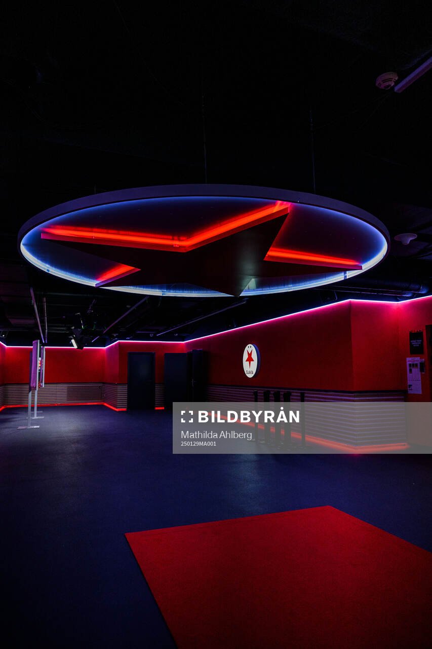 General view of Eden Arena