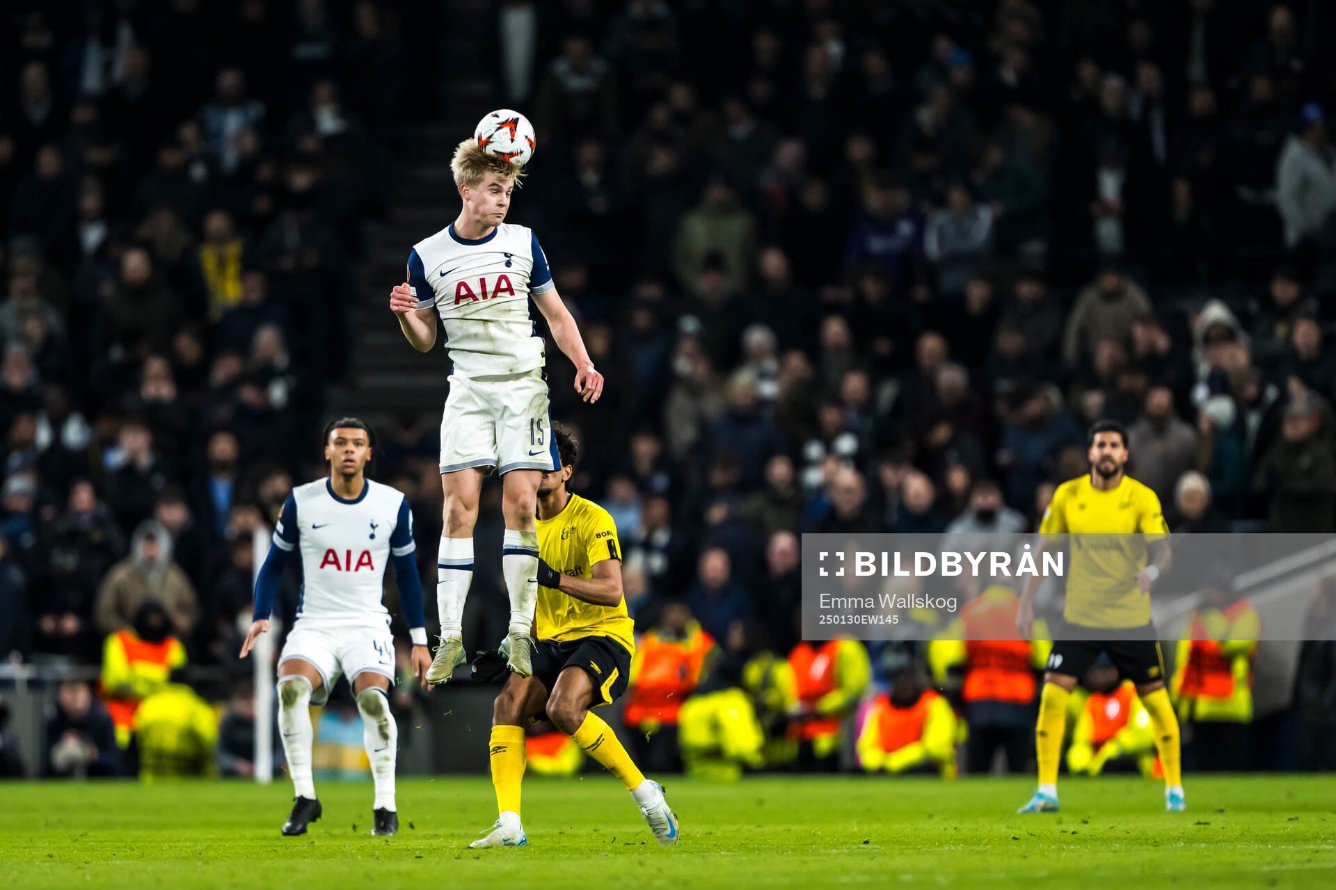 Lucas Bergvall of Tottenham Hotspur