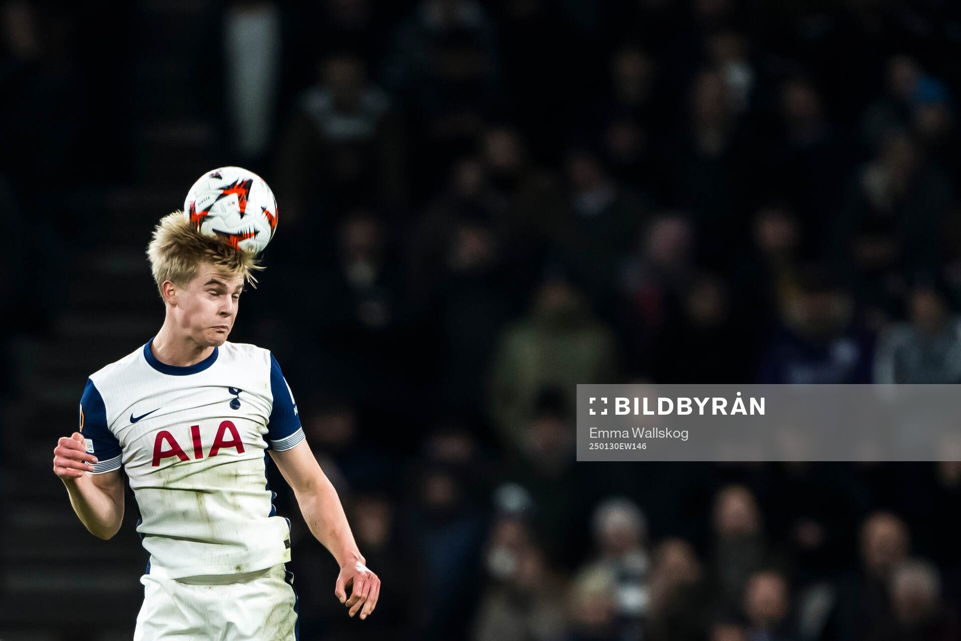 Lucas Bergvall of Tottenham Hotspur