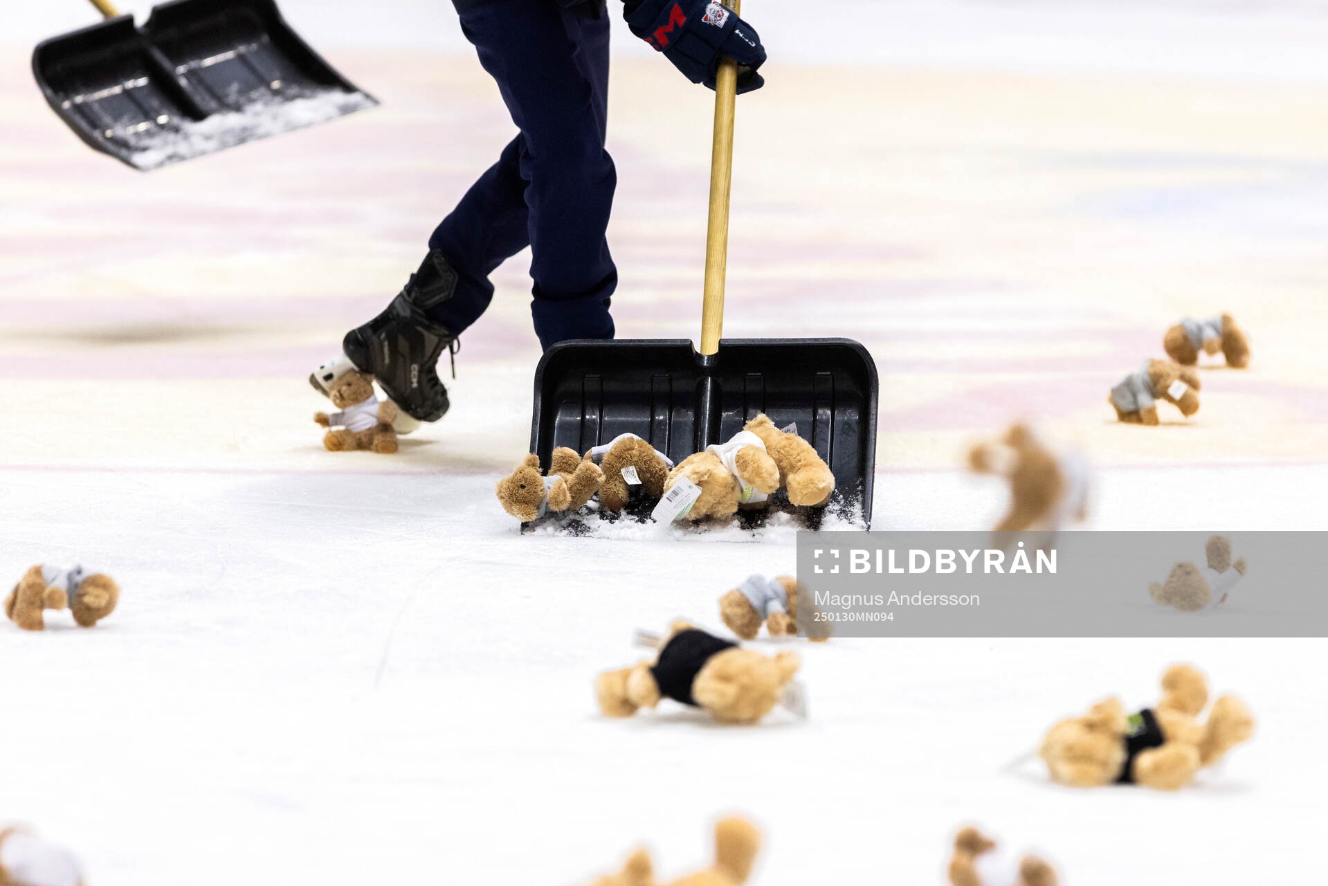 Teddy Bear Toss