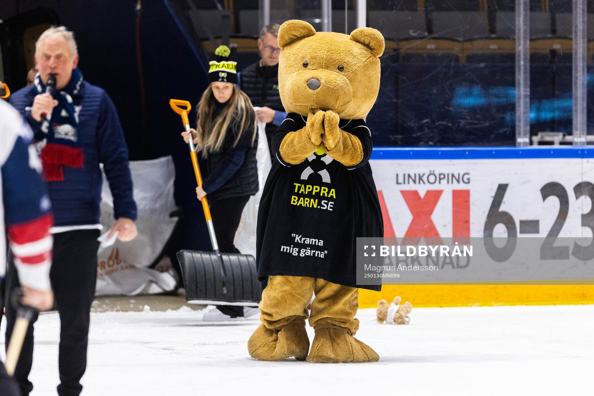 Teddy Bear Toss