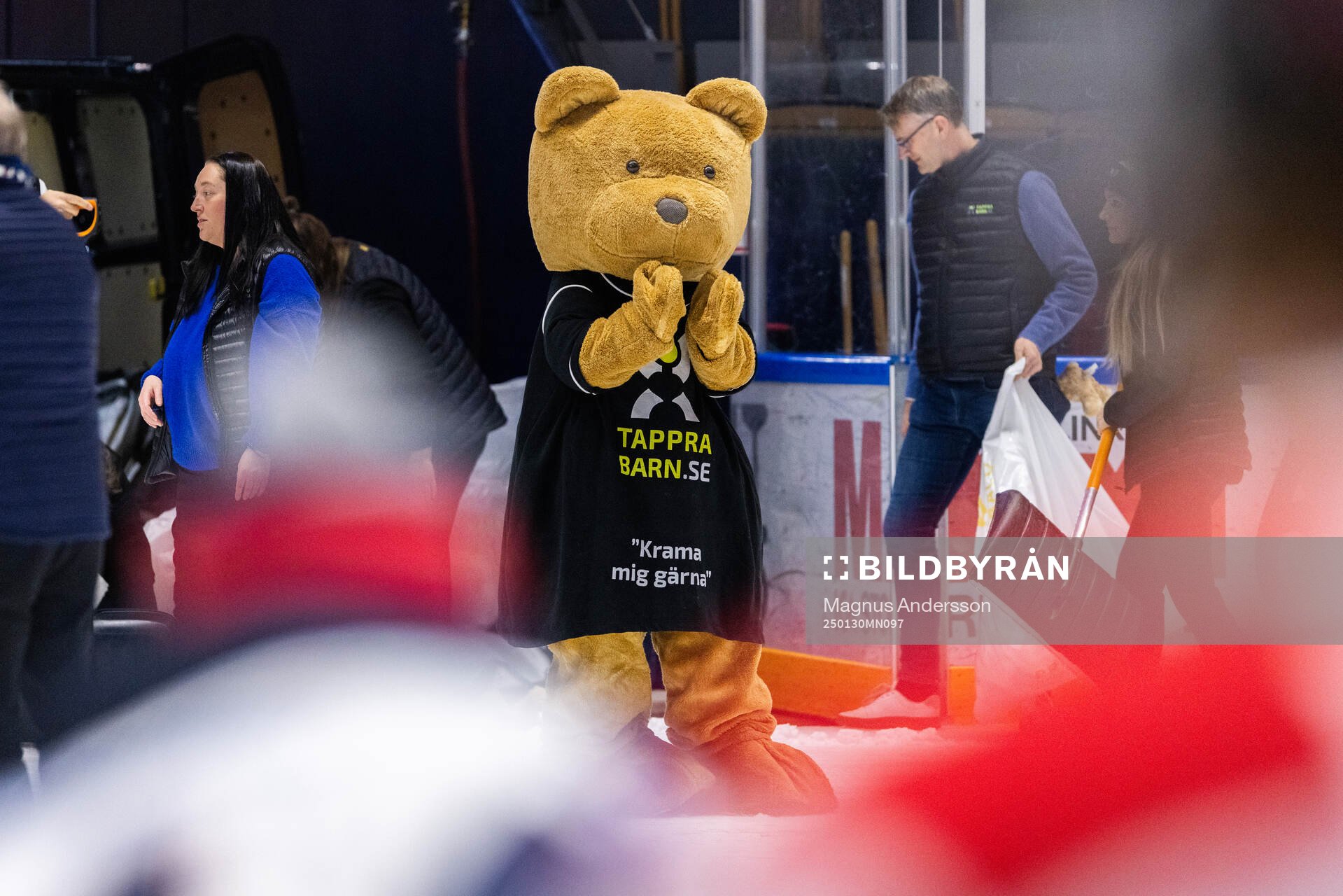 Teddy Bear Toss
