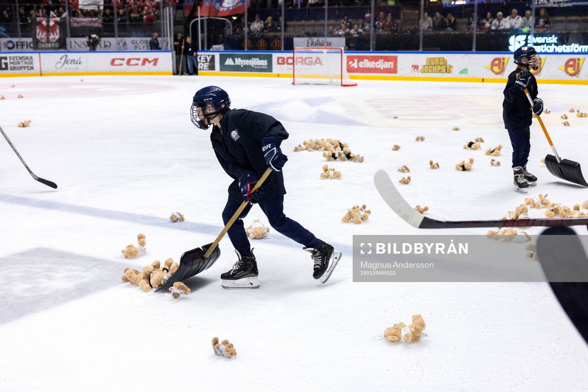 Teddy Bear Toss
