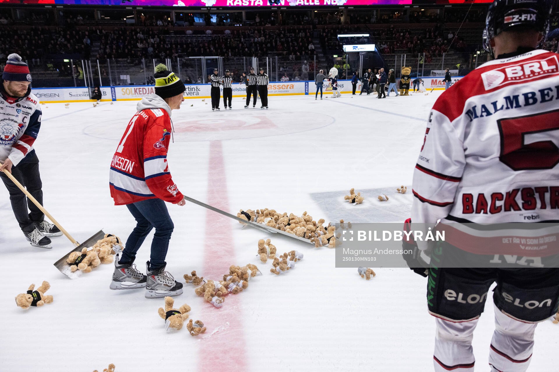 Teddy Bear Toss