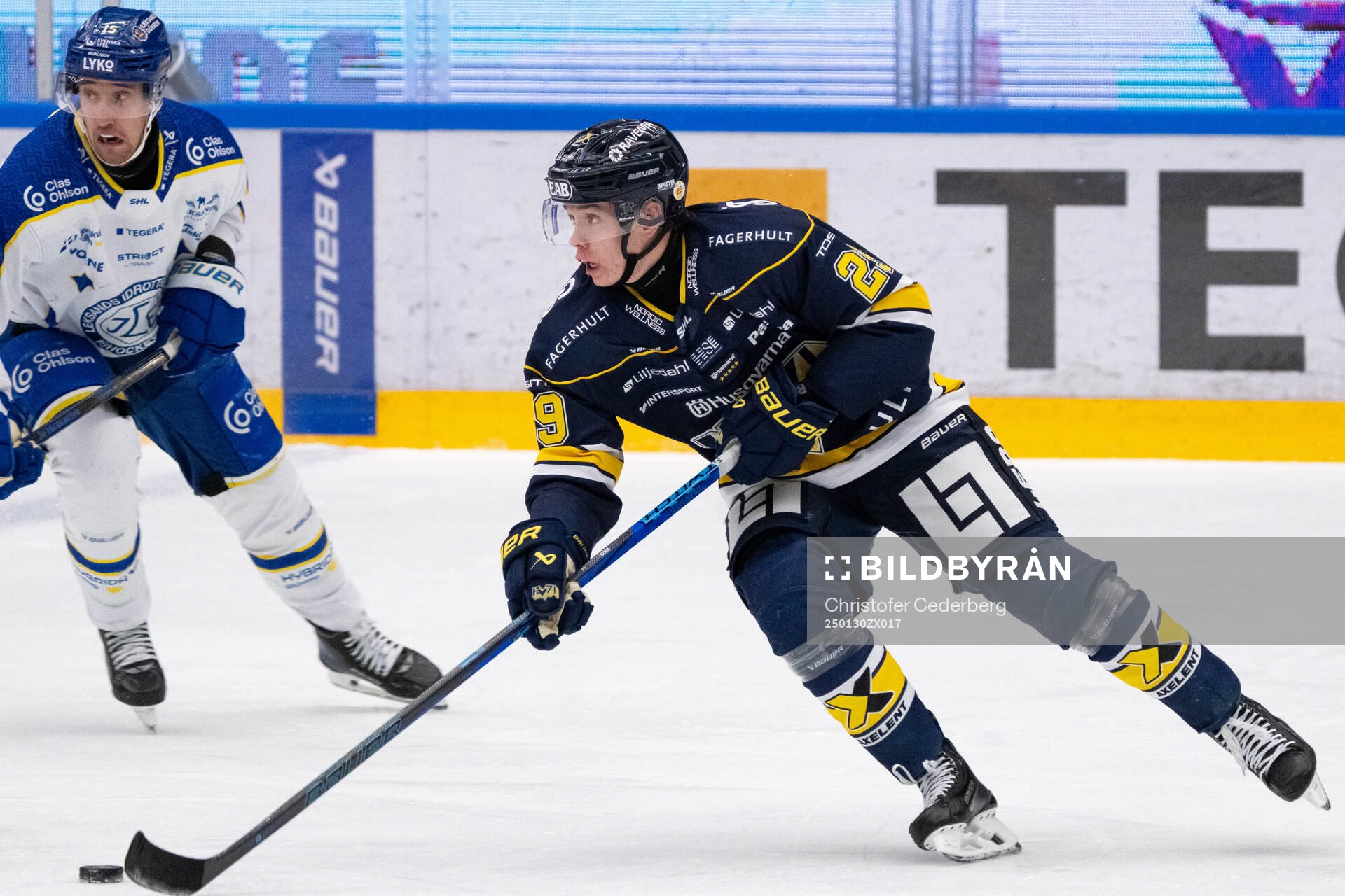 HV71s Wilhelm Hallquisth