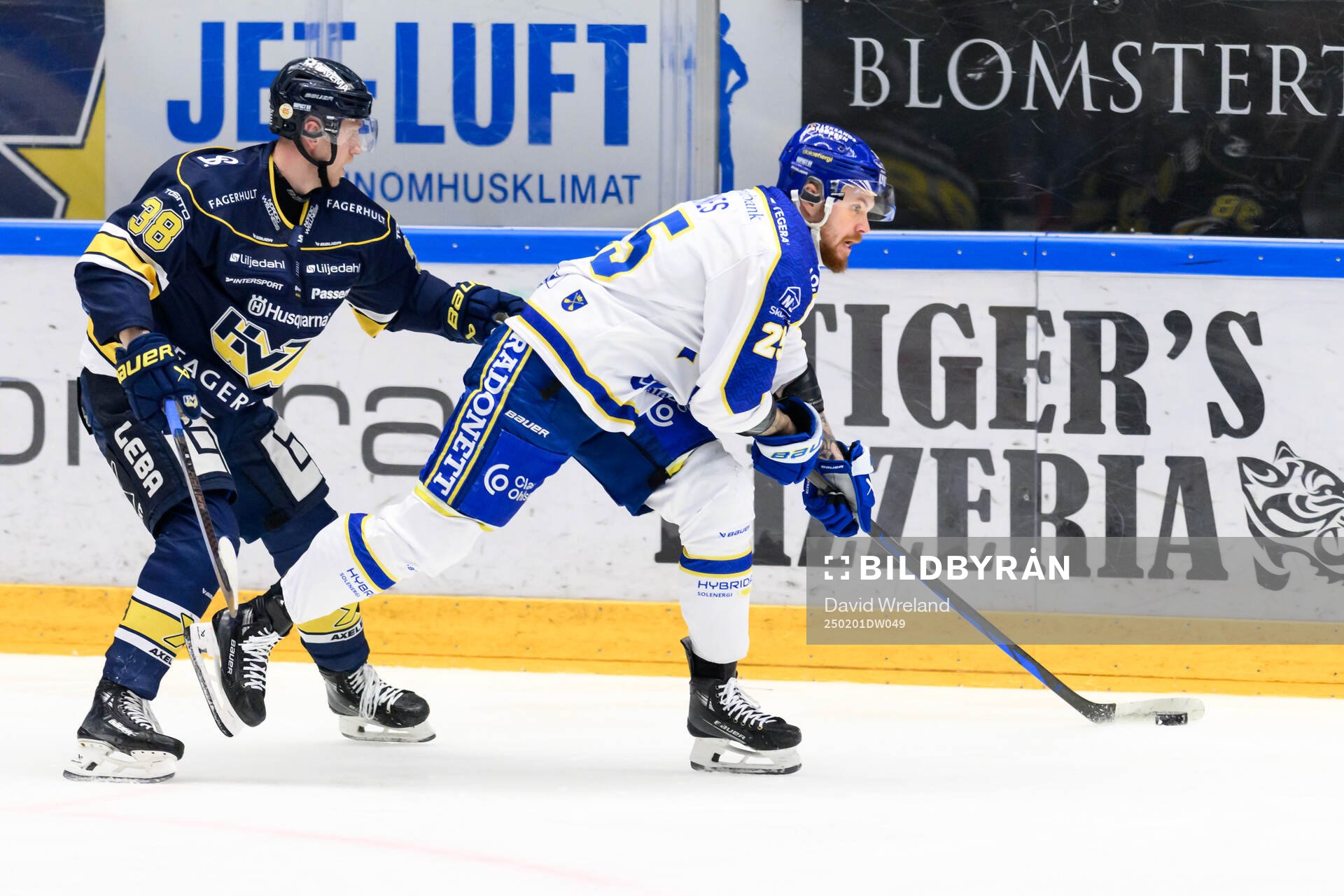 HV71s Olle Alsing och Leksands Lucas Elvenes