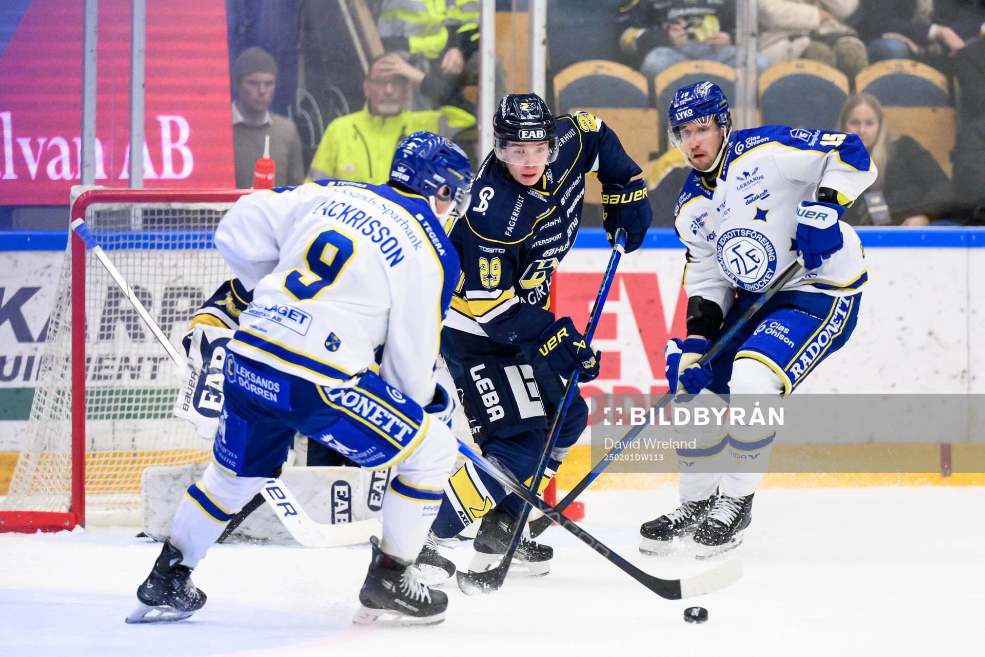 HV71s Wilhelm Hallquisth