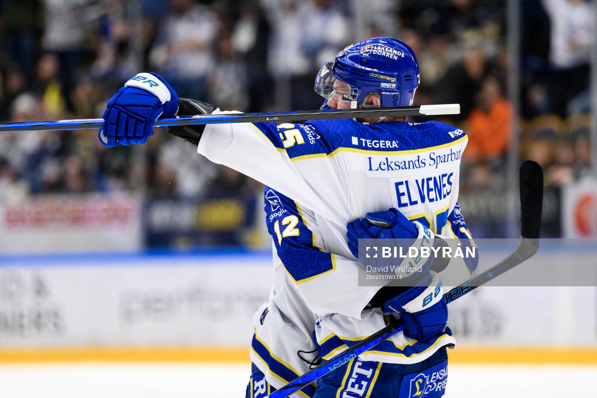 Leksands Lucas Elvenes jublar