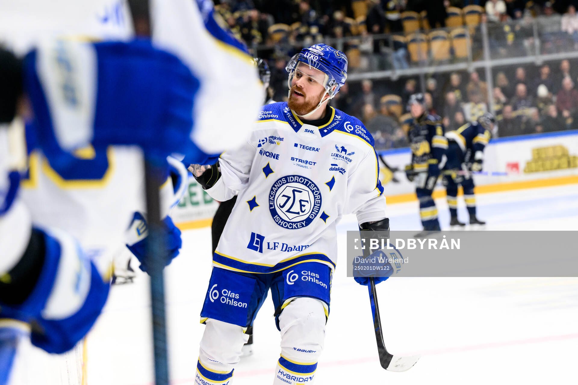 Leksands Lucas Elvenes jublar