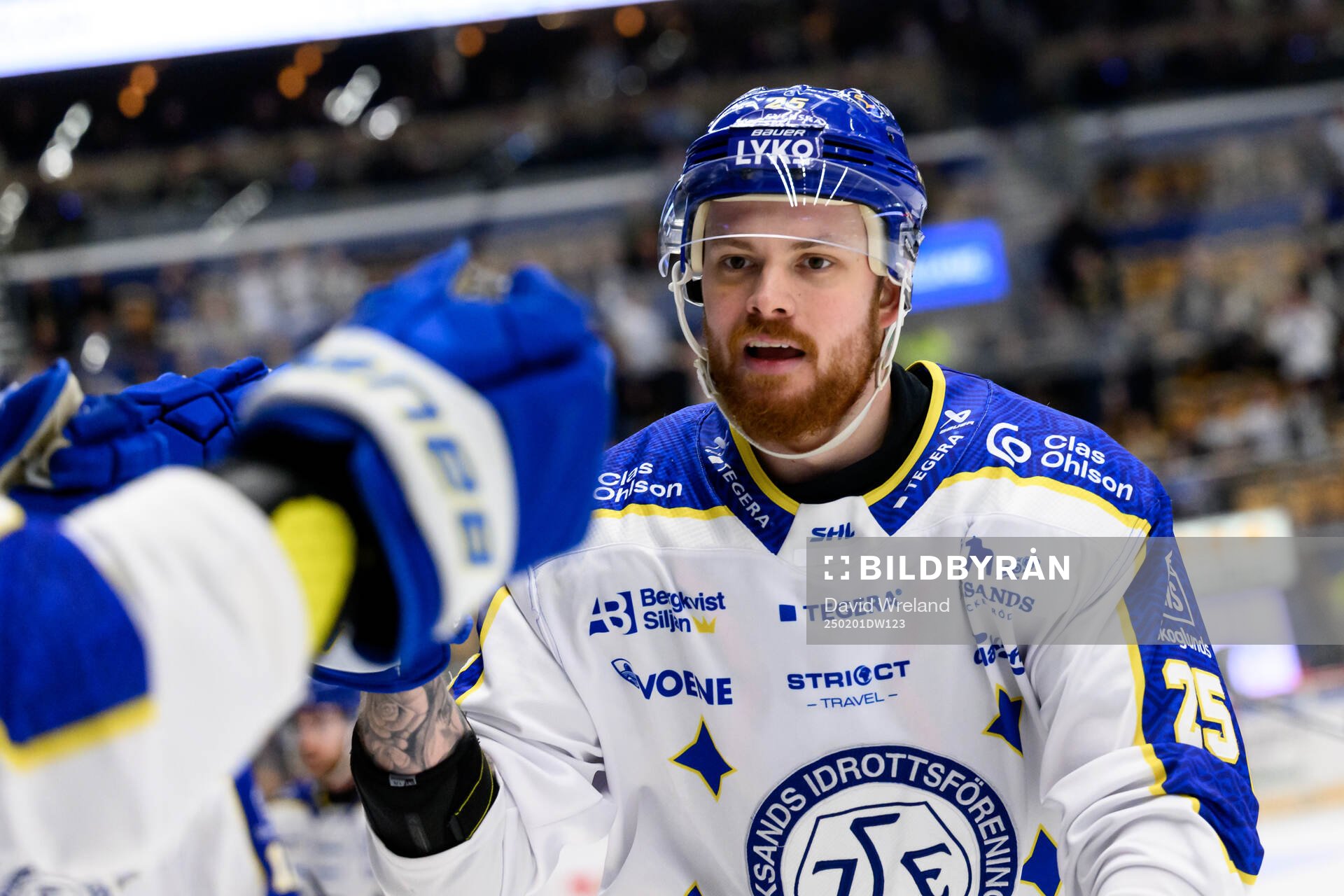 Leksands Lucas Elvenes jublar
