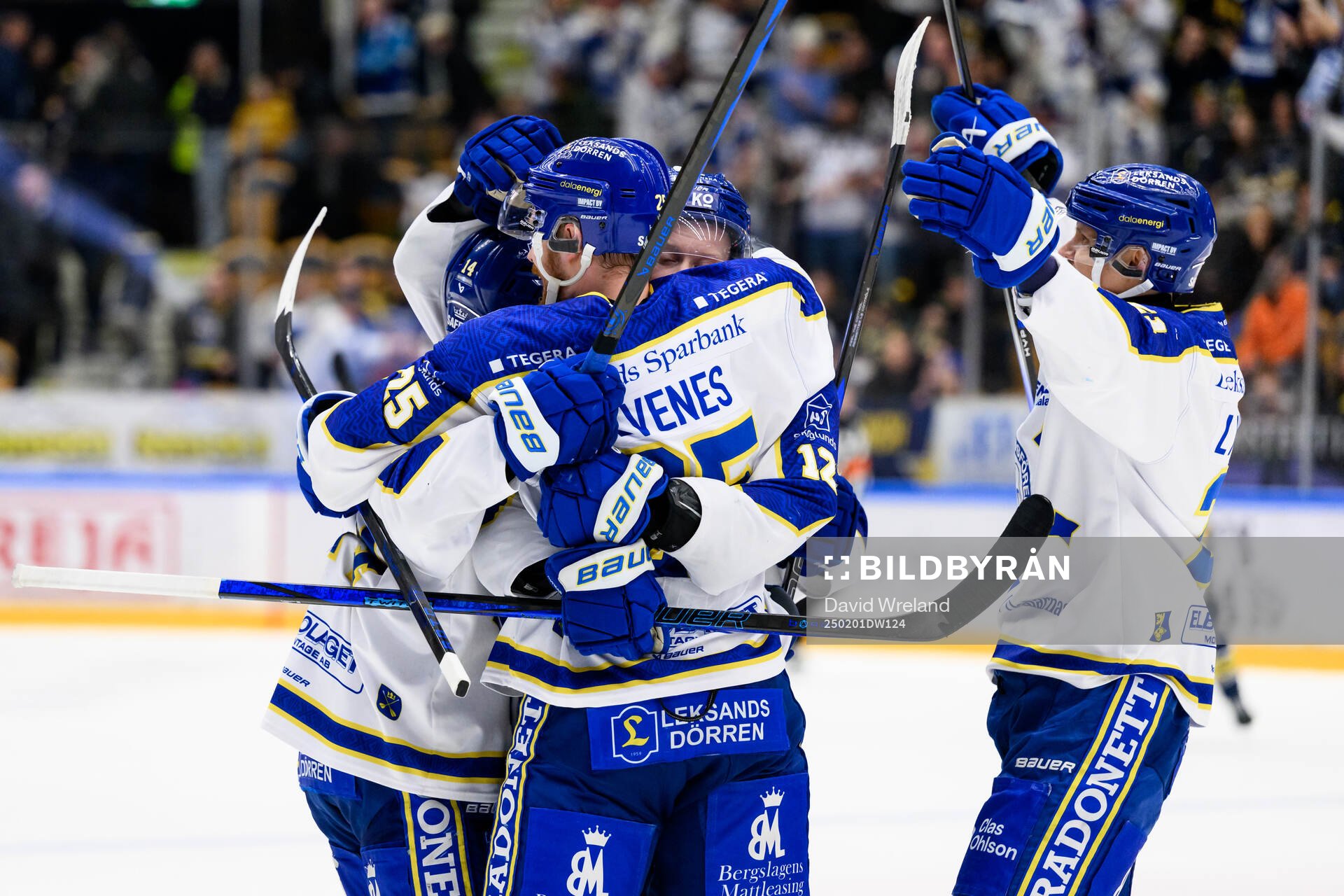 Leksands Lucas Elvenes jublar