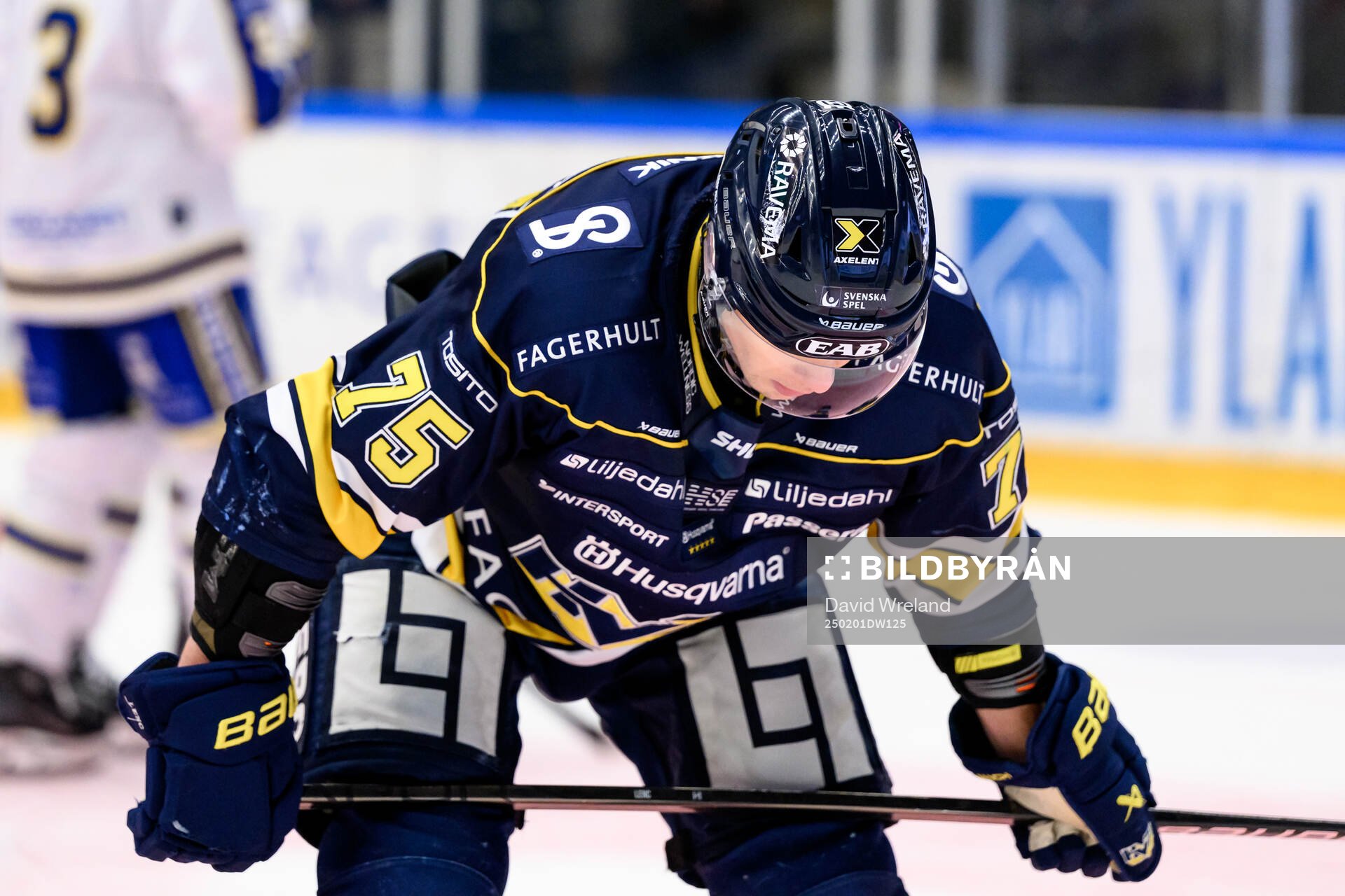 HV71s Radan Lenc