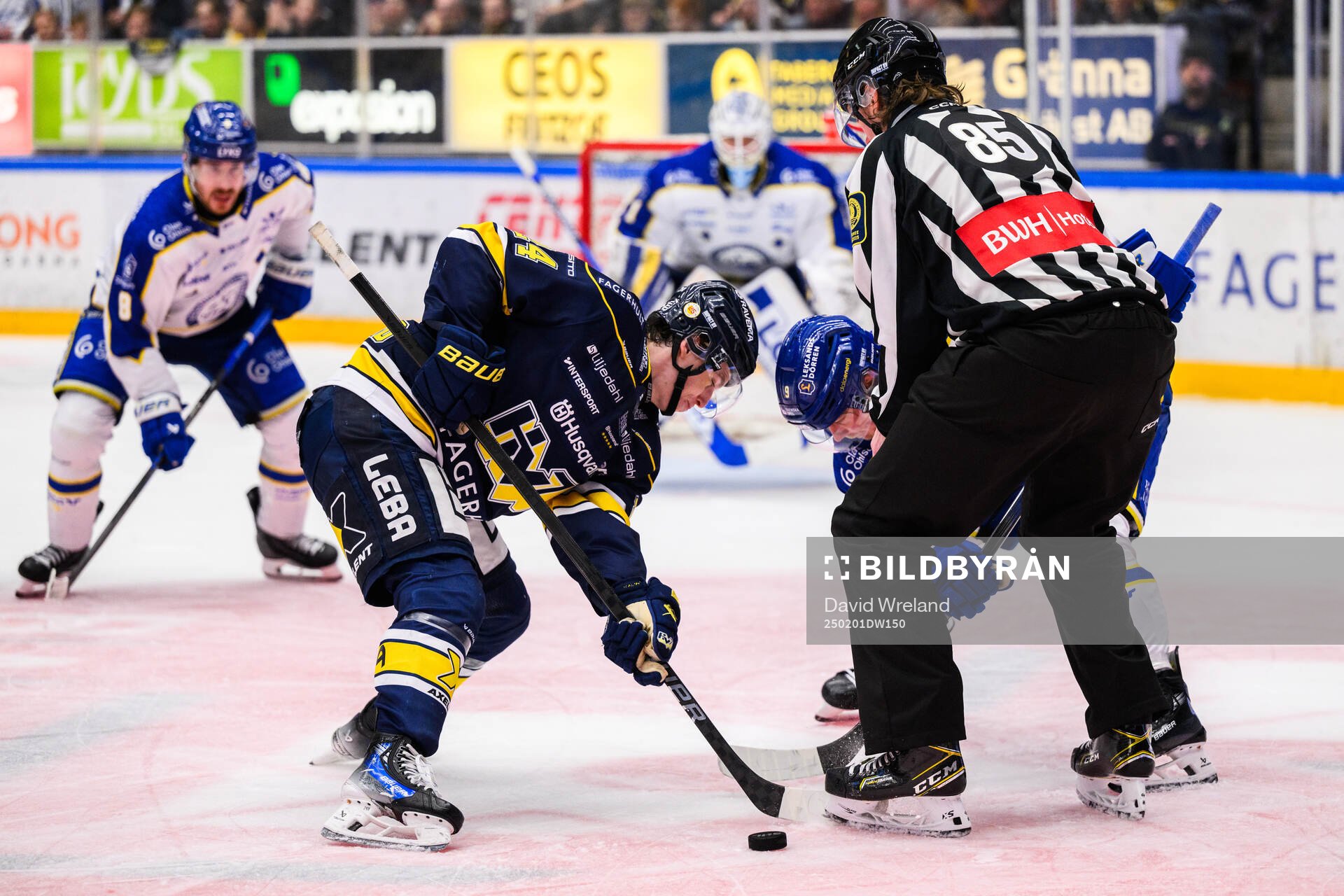 HV71s Oscar Fisker Molgaard och Leksands Patrik Zackrisson