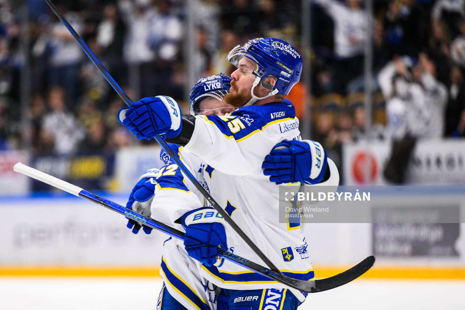 Leksands Lucas Elvenes jublar