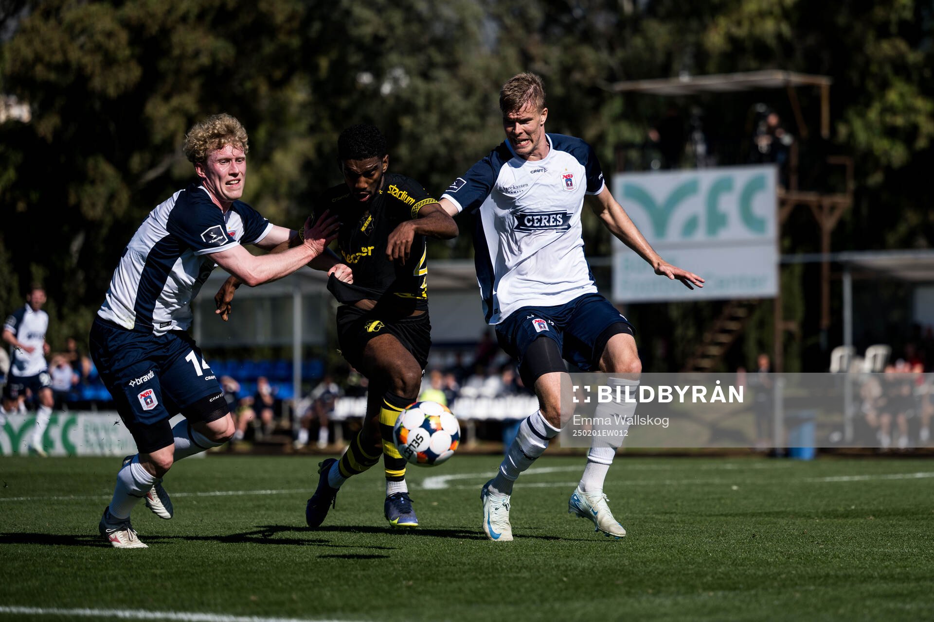 Tobias Mølgaard of AGF Århus and Alexander Fesshaie of