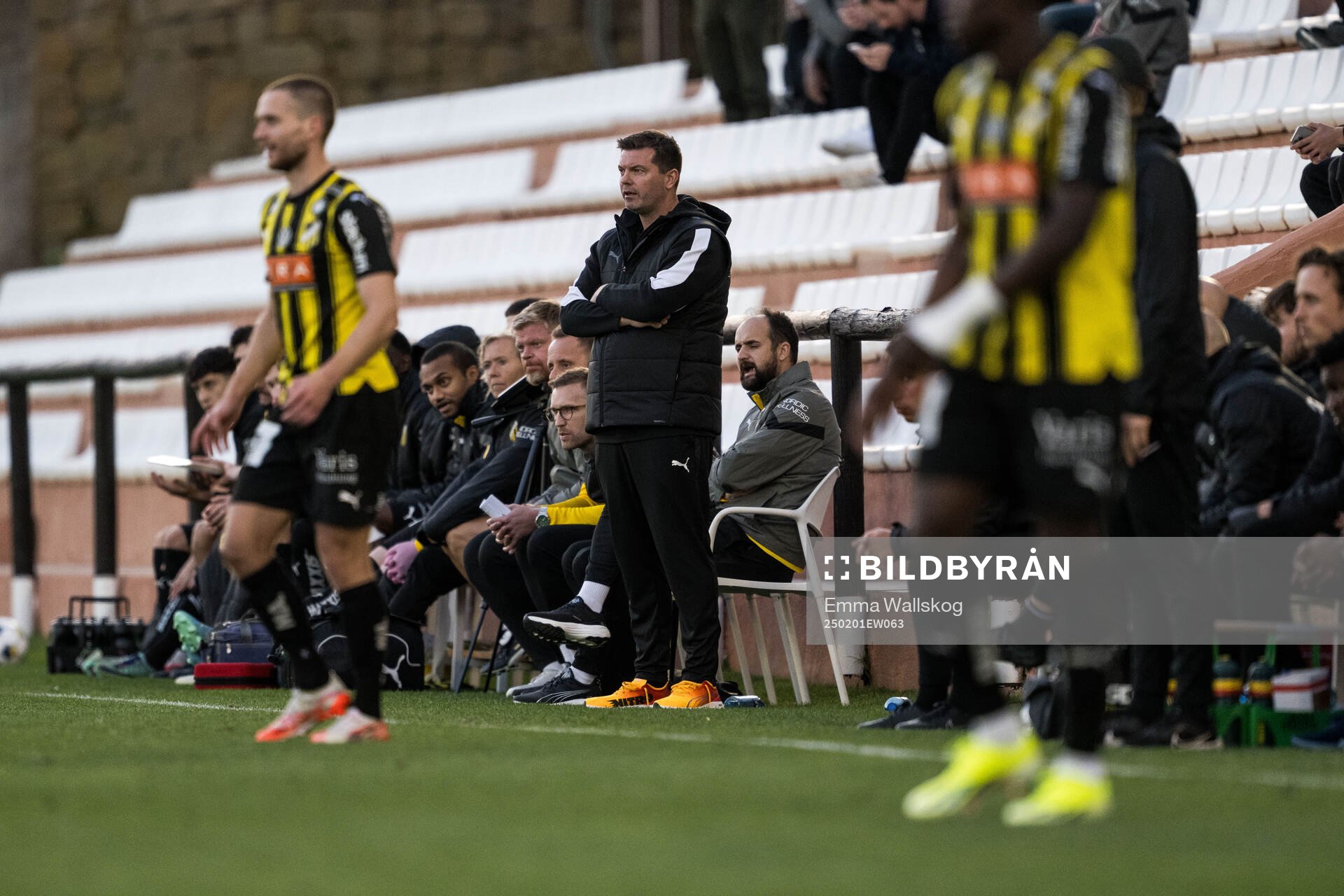 Head coach Jens Gustafsson of Häcken
