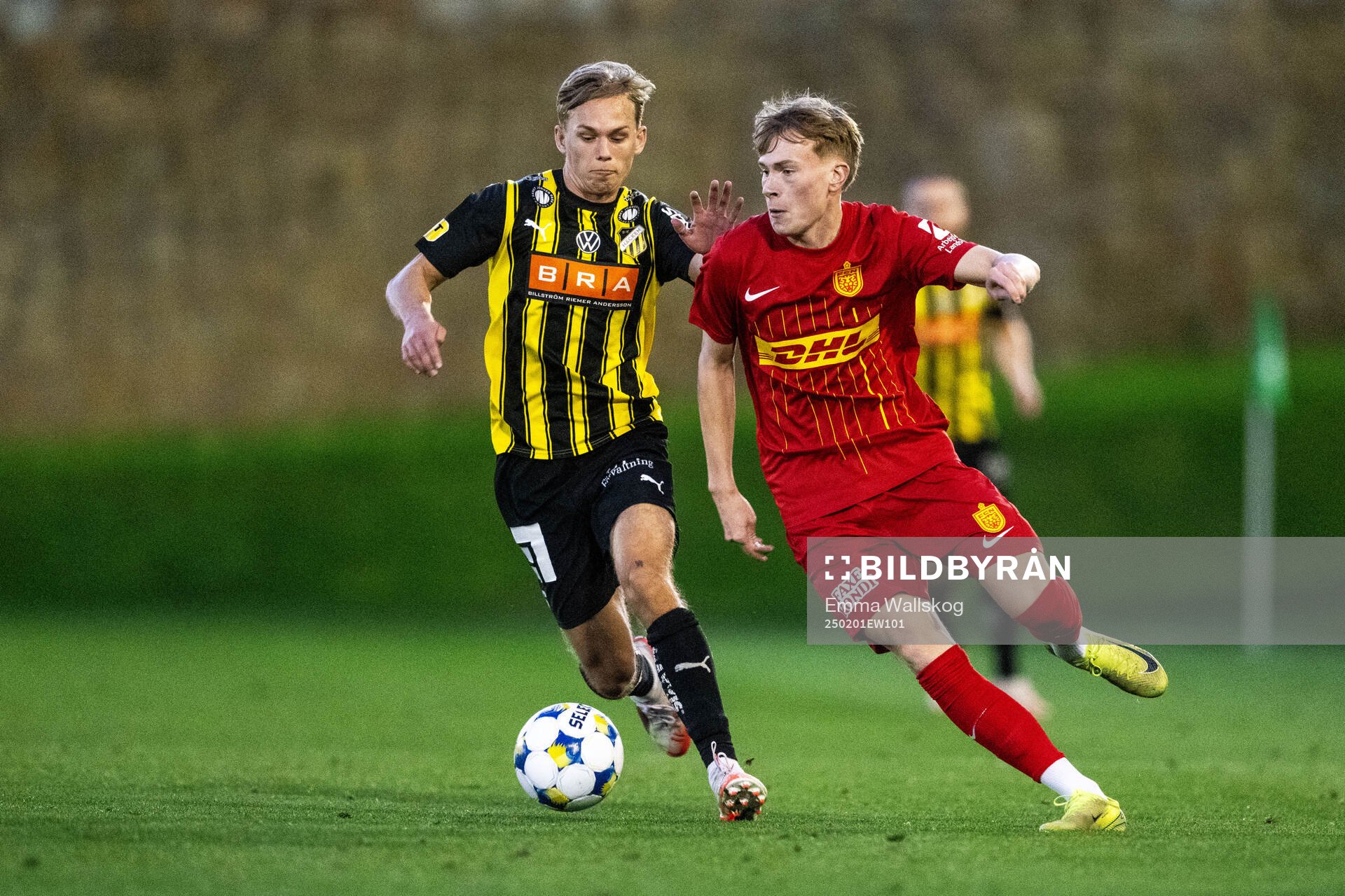 Pontus Dahbo of Häcken