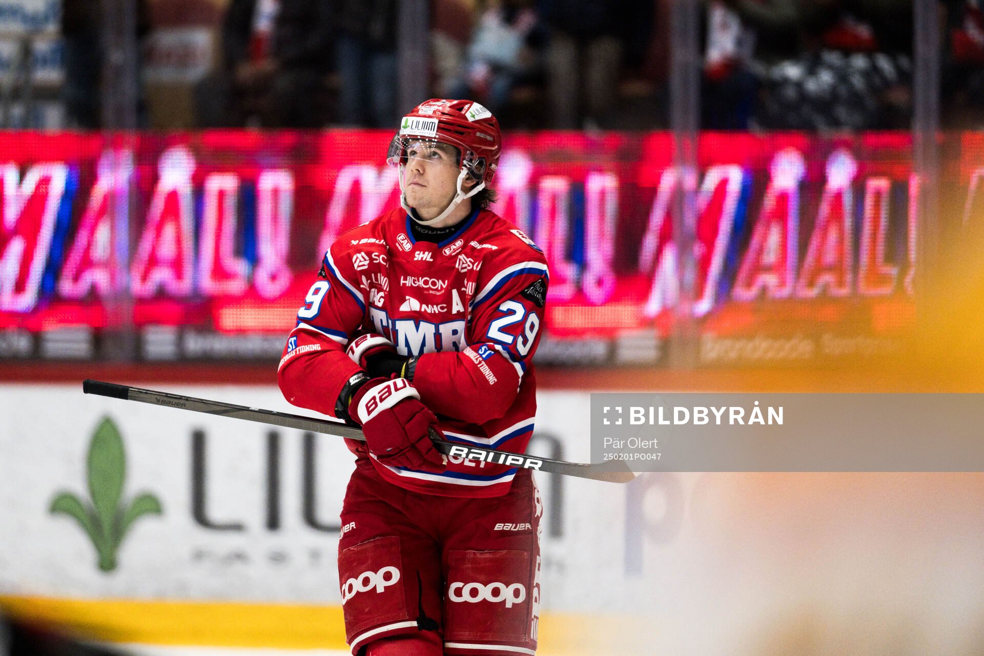 Timrås Filip Hållander jublar