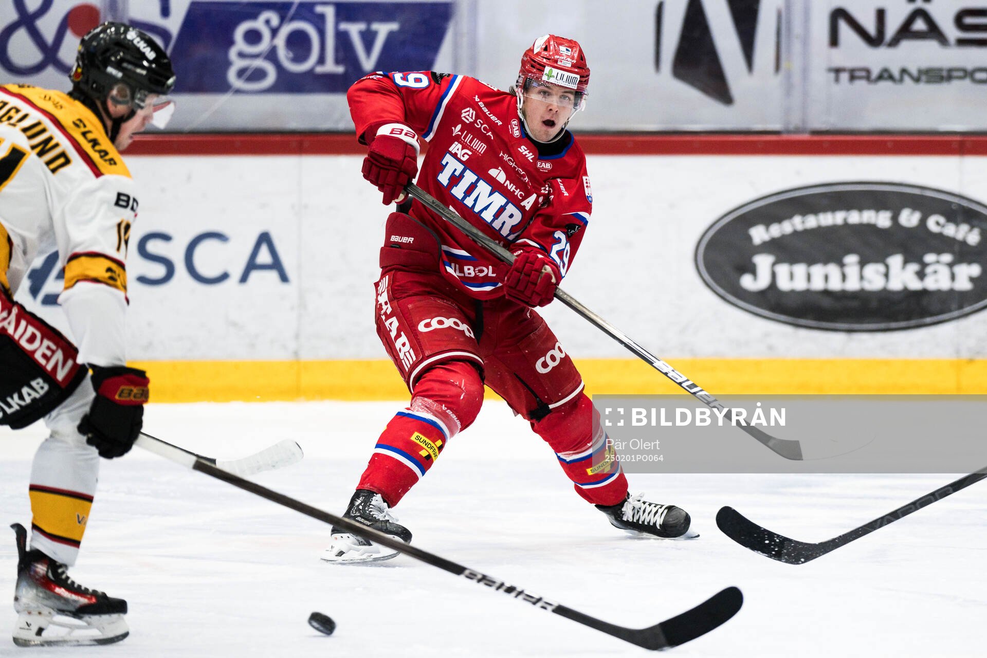 Timrås Filip Hållander