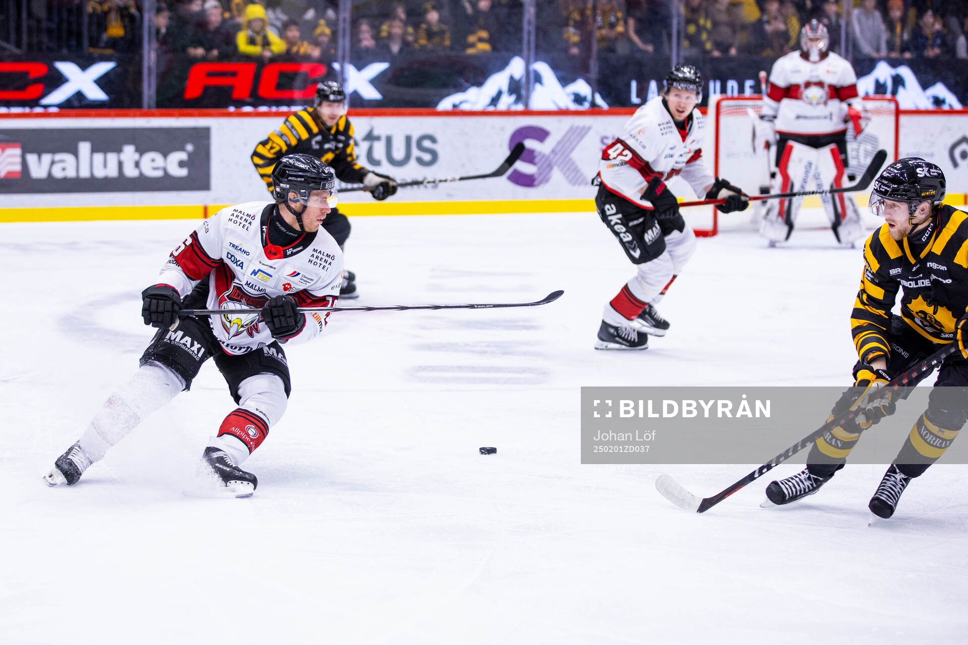 Malmö Redhawks Matias Lassen
